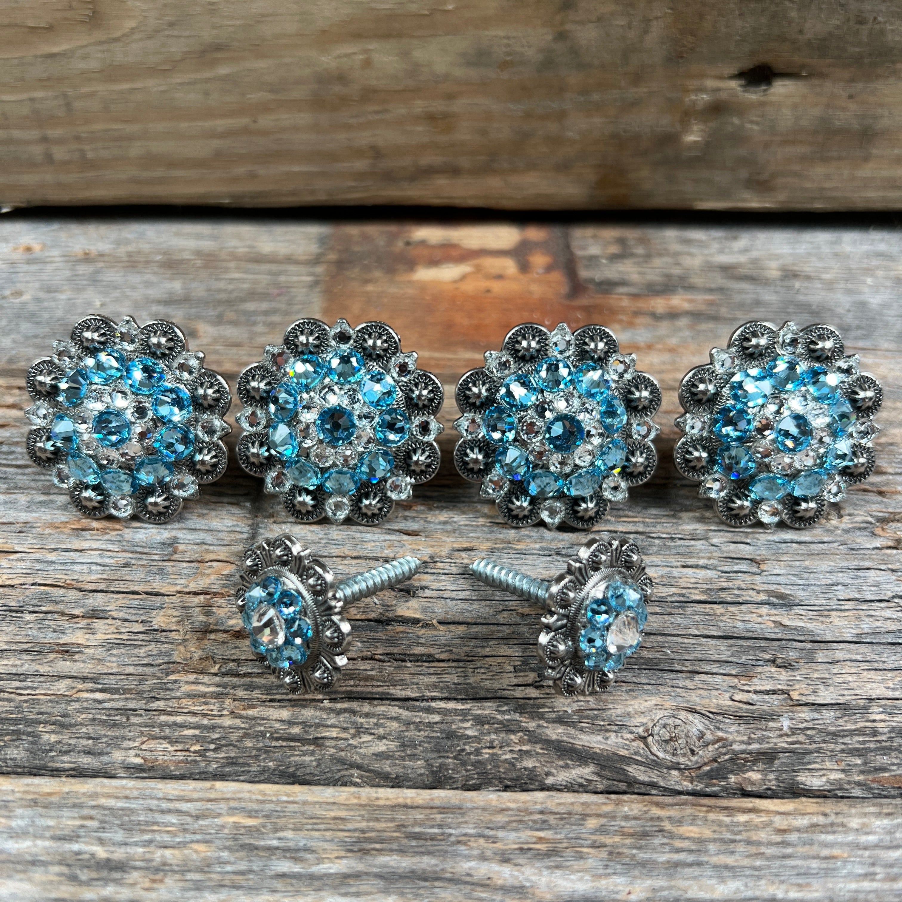 Antique Silver Aqua & Clear Saddle Conchos