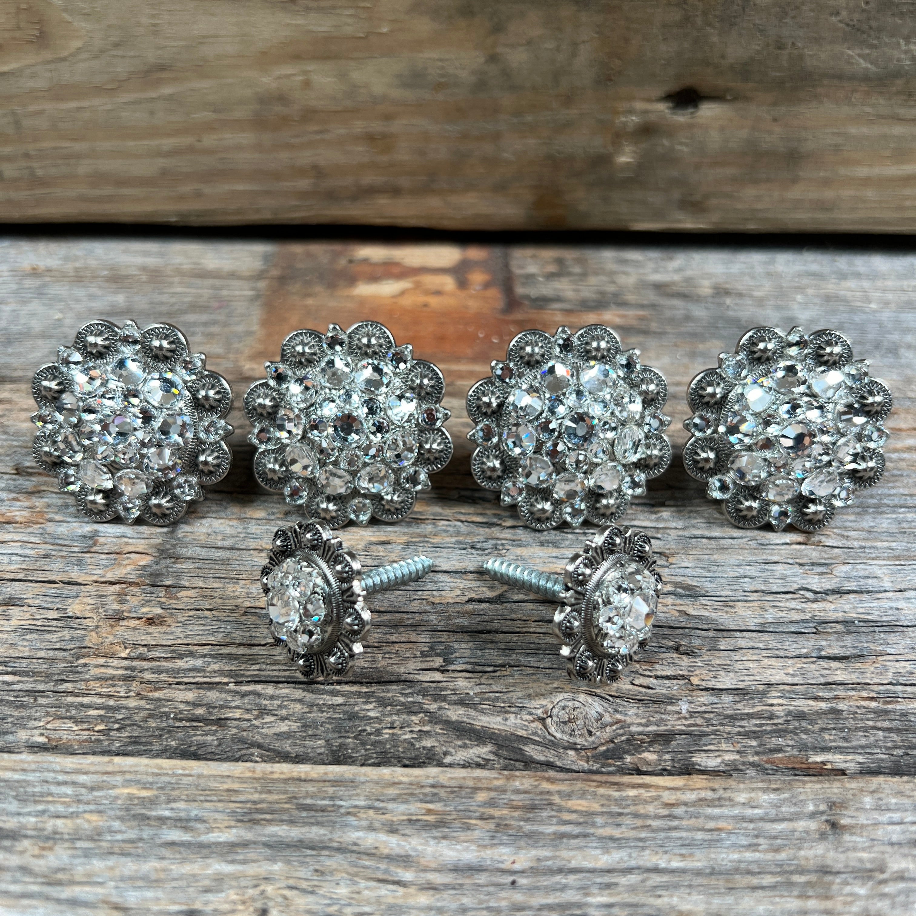 Antique Silver Clear Saddle Conchos