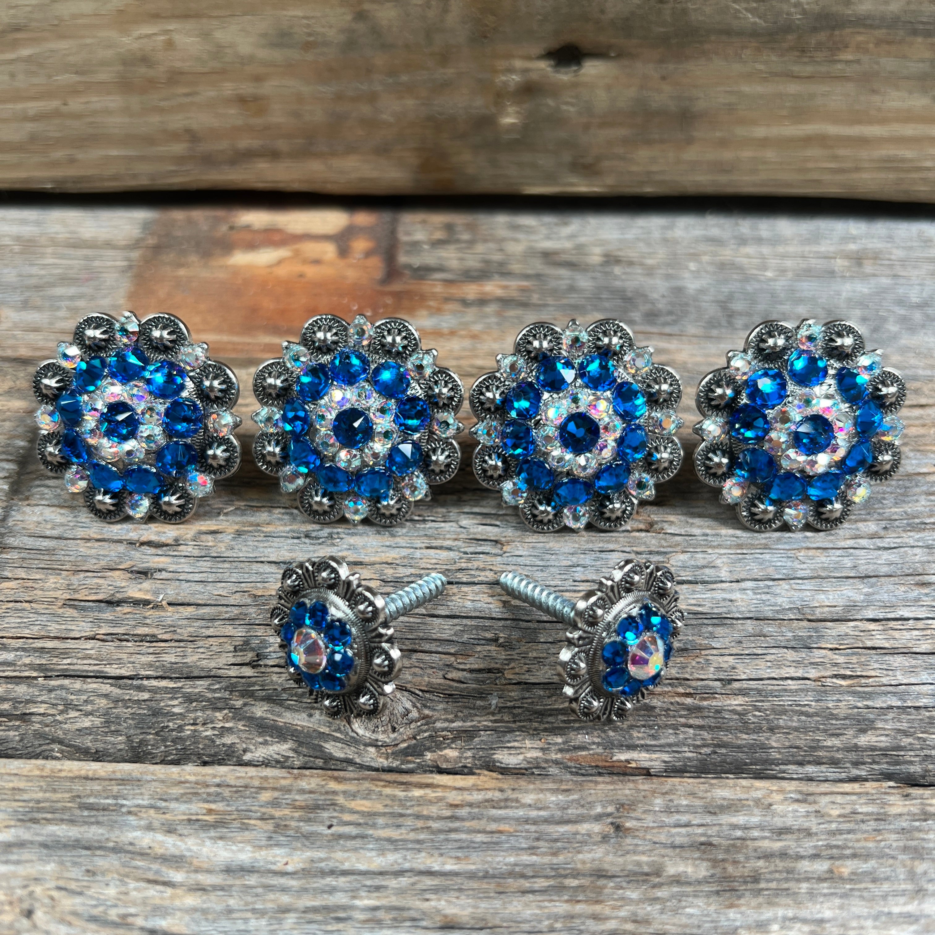 Antique Silver Capri & AB Saddle Conchos