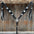 Black Oil V Brow Clear Browband & Breastcollar Tack Set #BBBC683