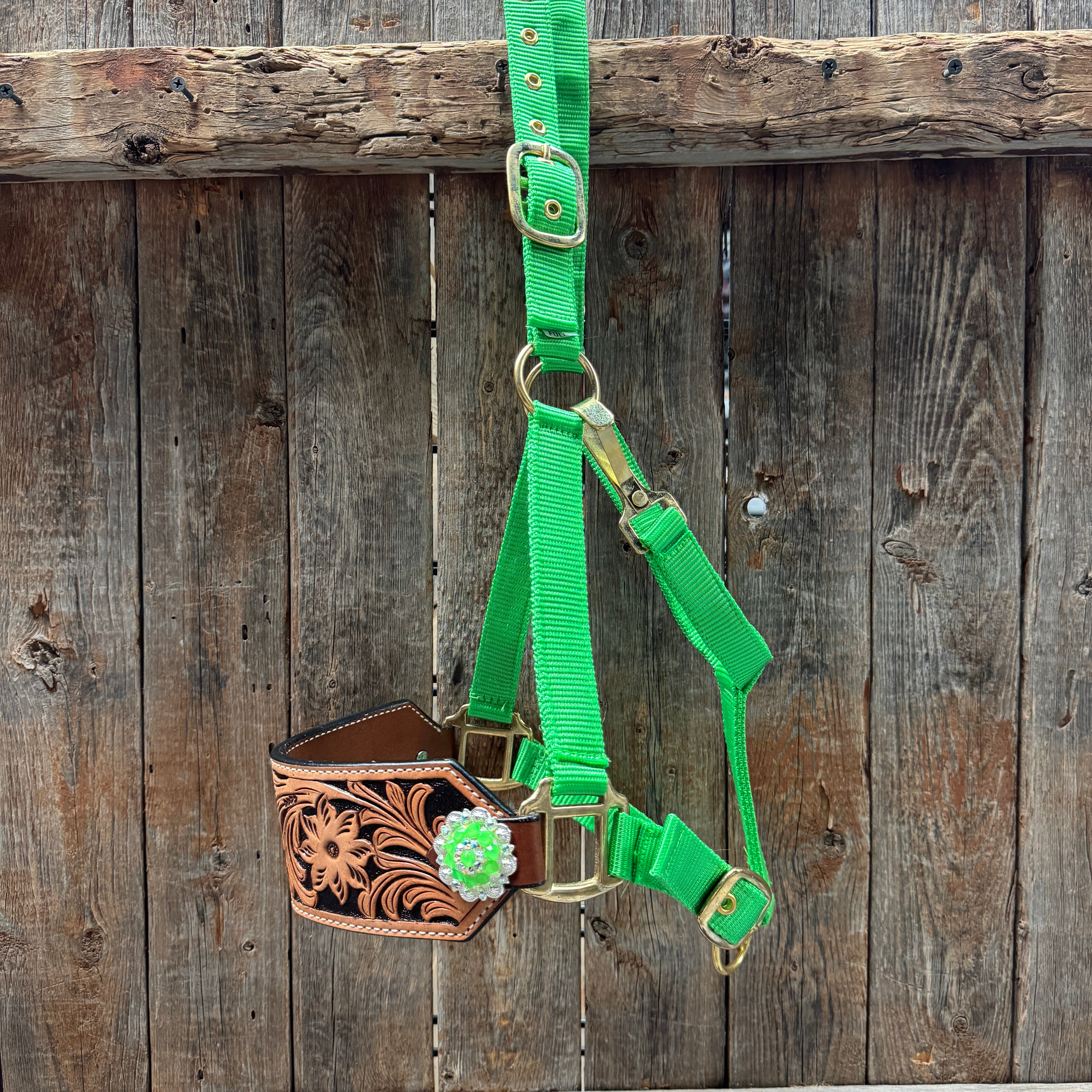 Lime Nylon Horse Halter – Bronc Noseband with Crystal Conchos NH102