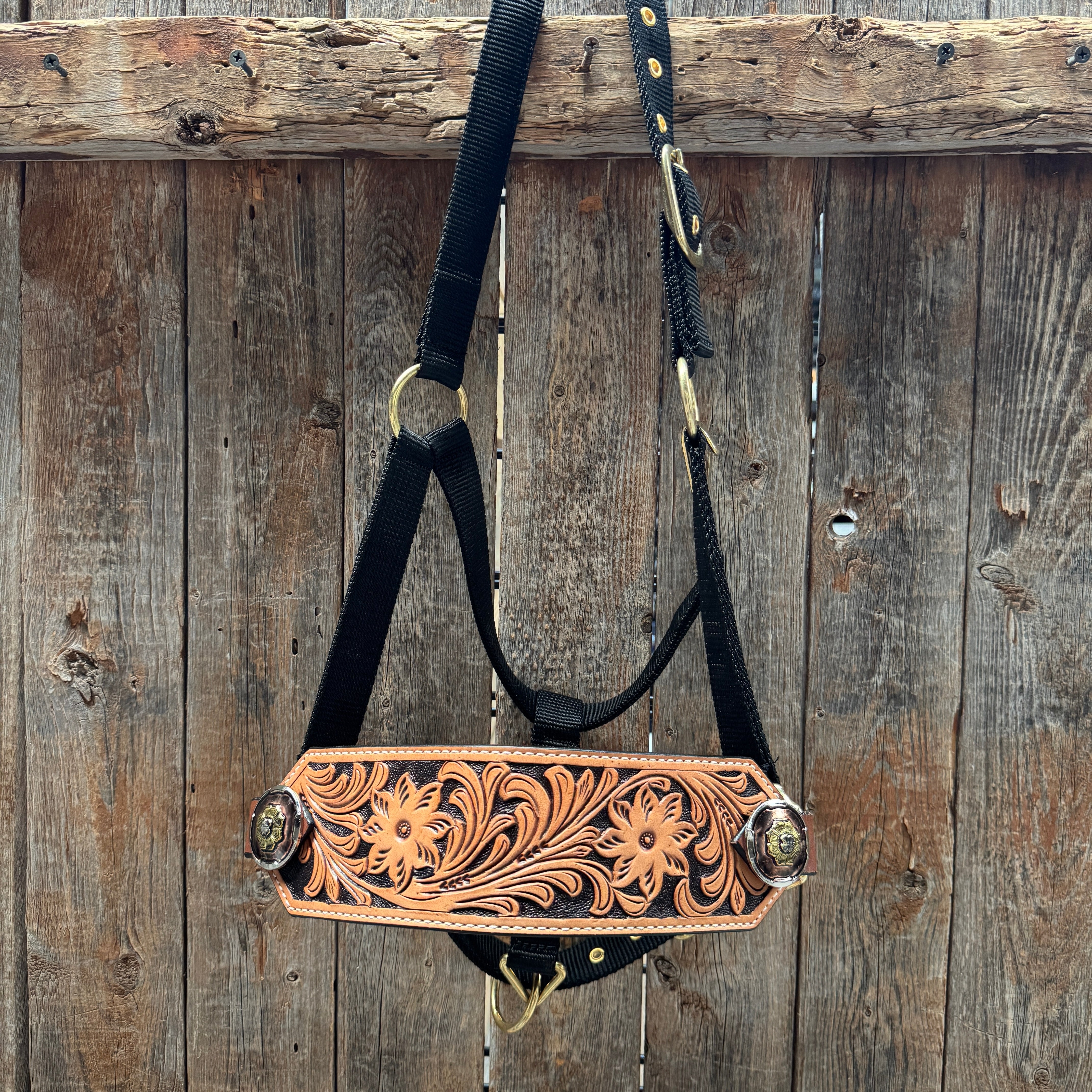 Black Nylon Horse Halter – Bronc Noseband with Western Conchos NH104