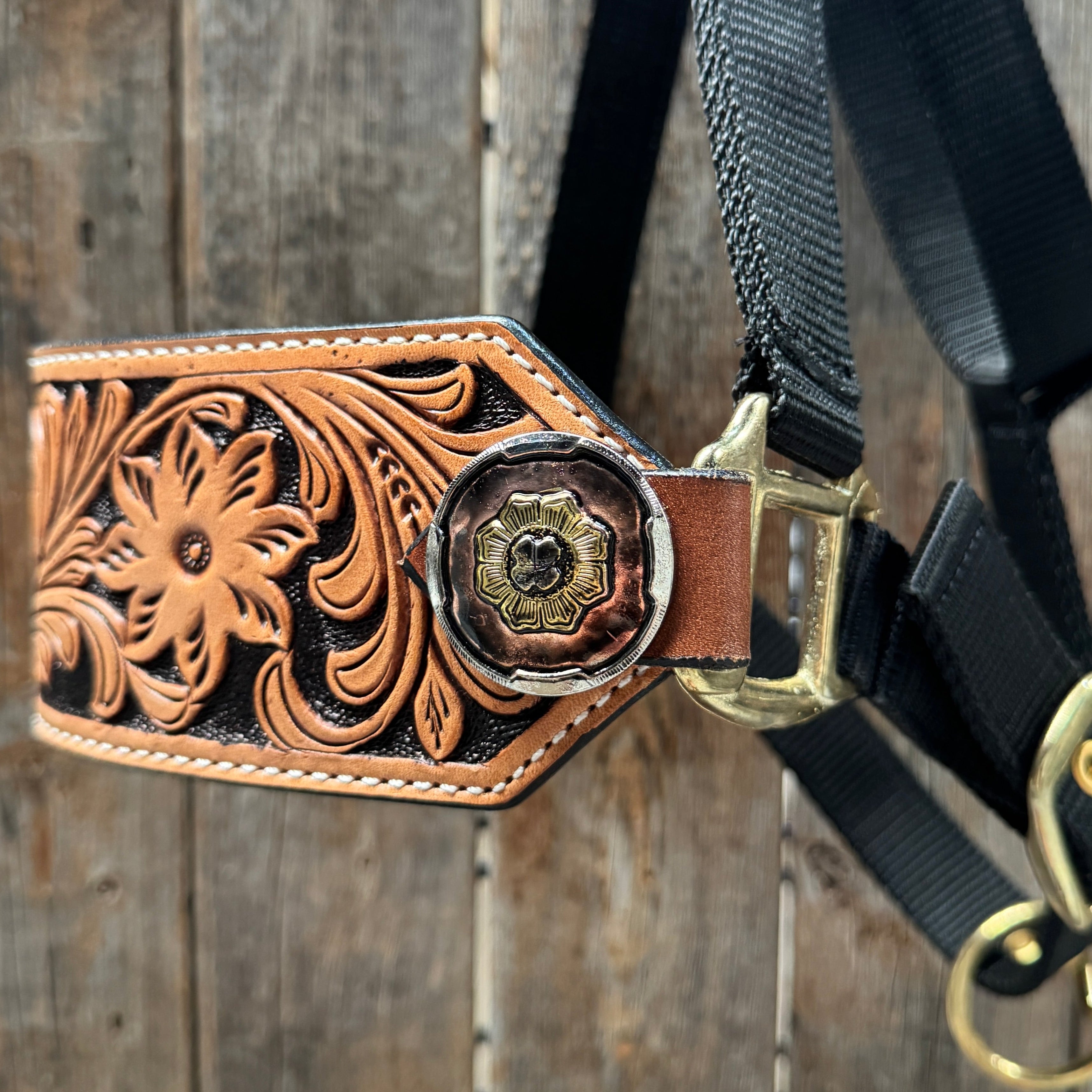 Black Nylon Horse Halter – Bronc Noseband with Western Conchos NH104