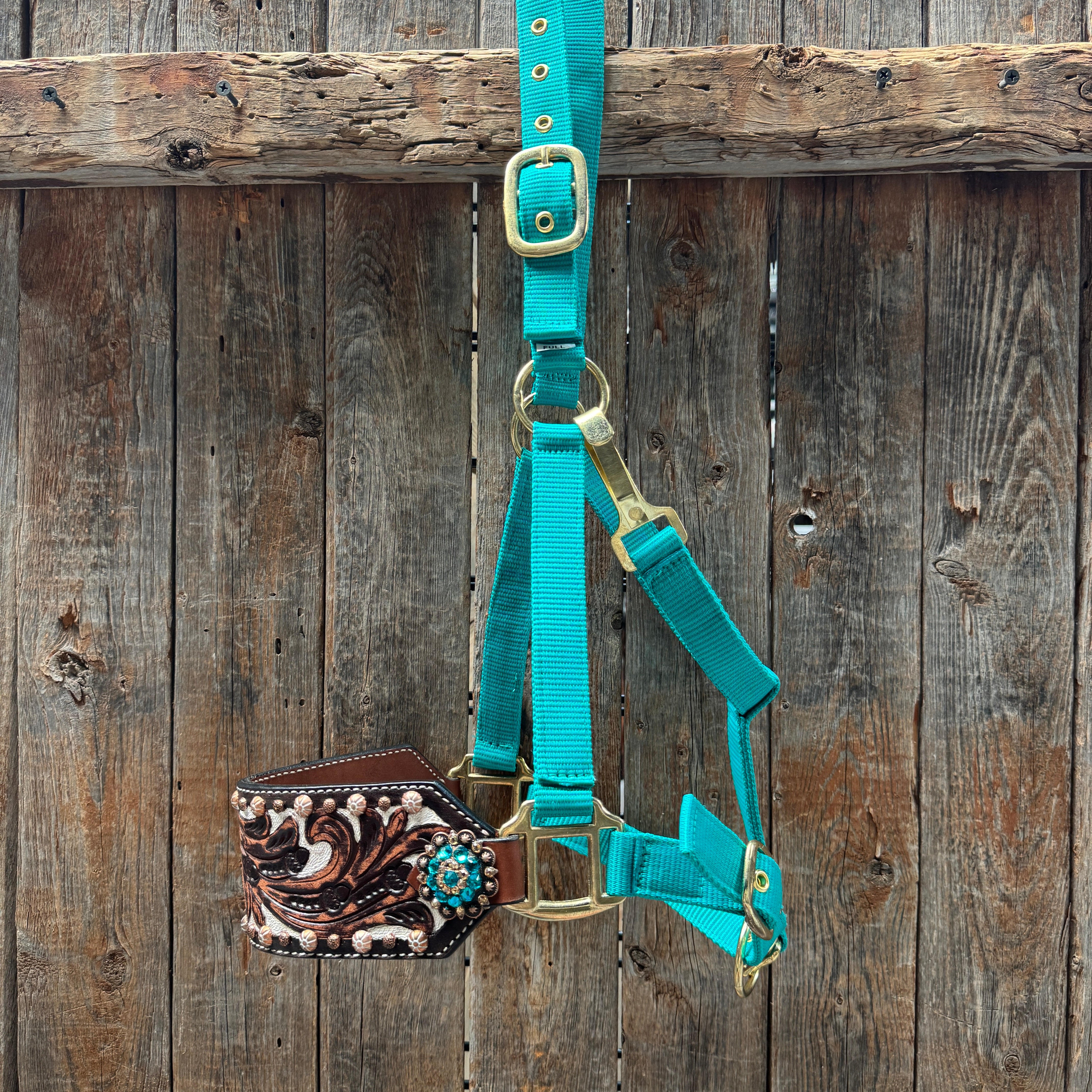 Teal Nylon Horse Halter – Bronc Noseband with Crystal Conchos NH105