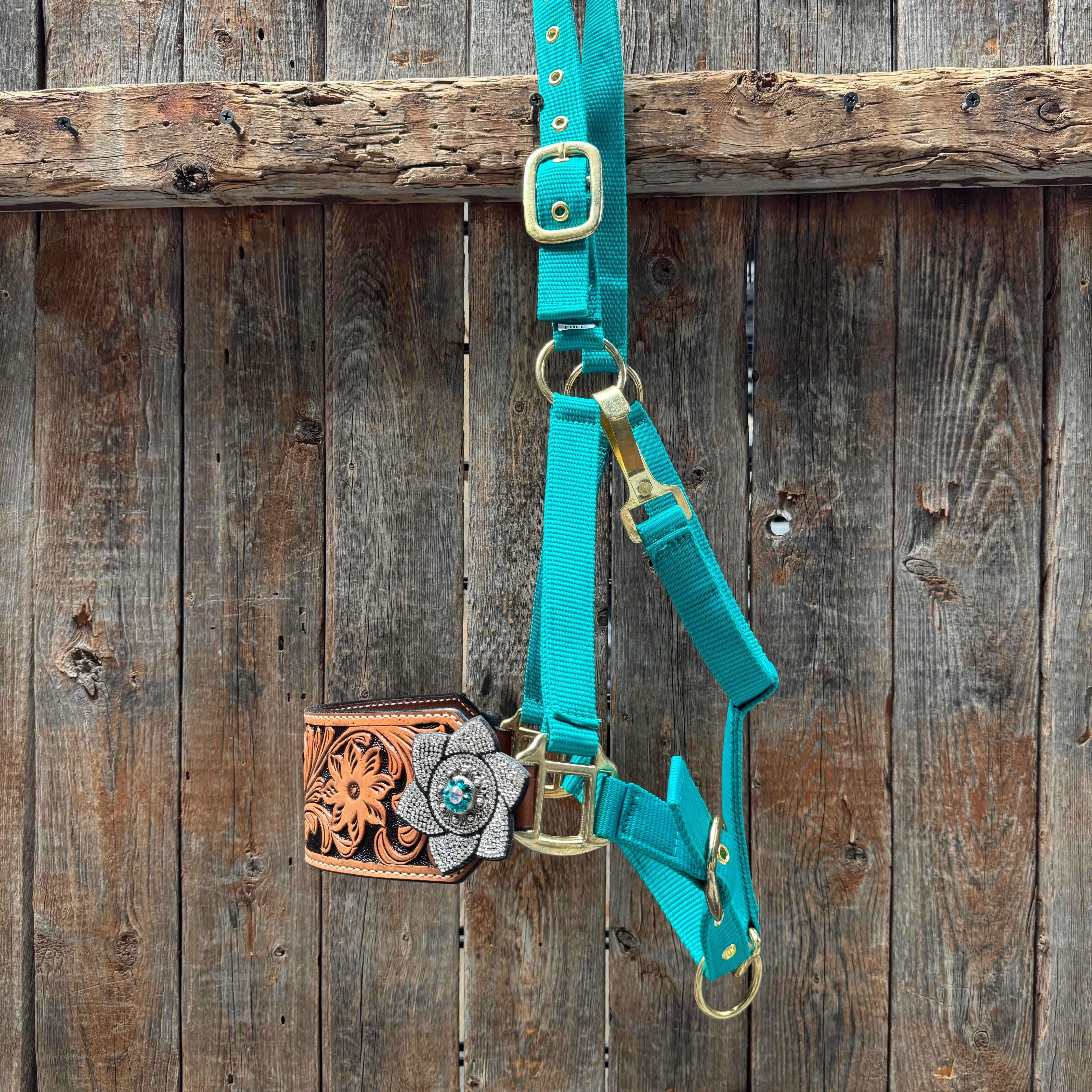 Teal Nylon Horse Halter – Bronc Noseband with Crystal Conchos NH106