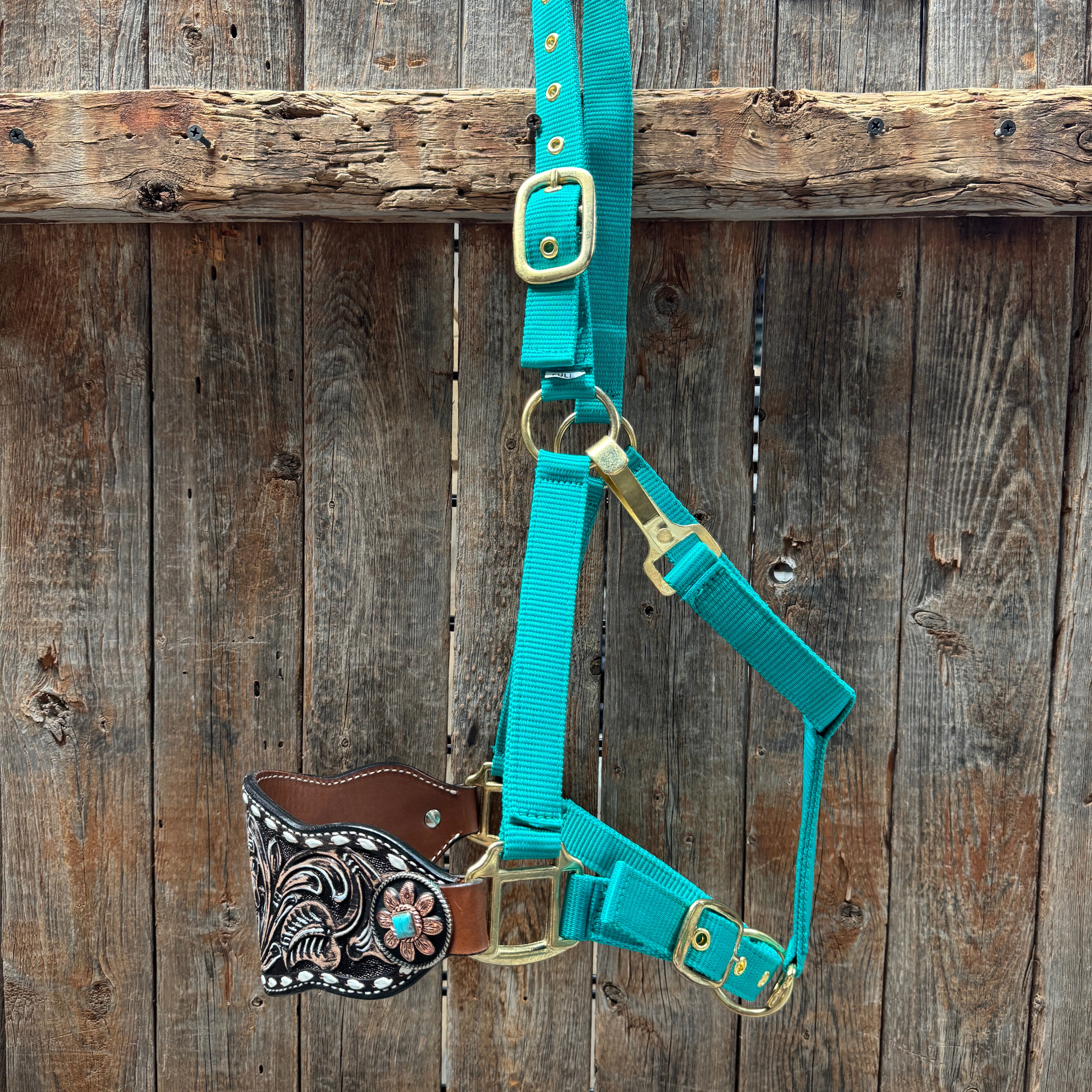 Teal Nylon Horse Halter – Bronc Noseband with Western Conchos NH107