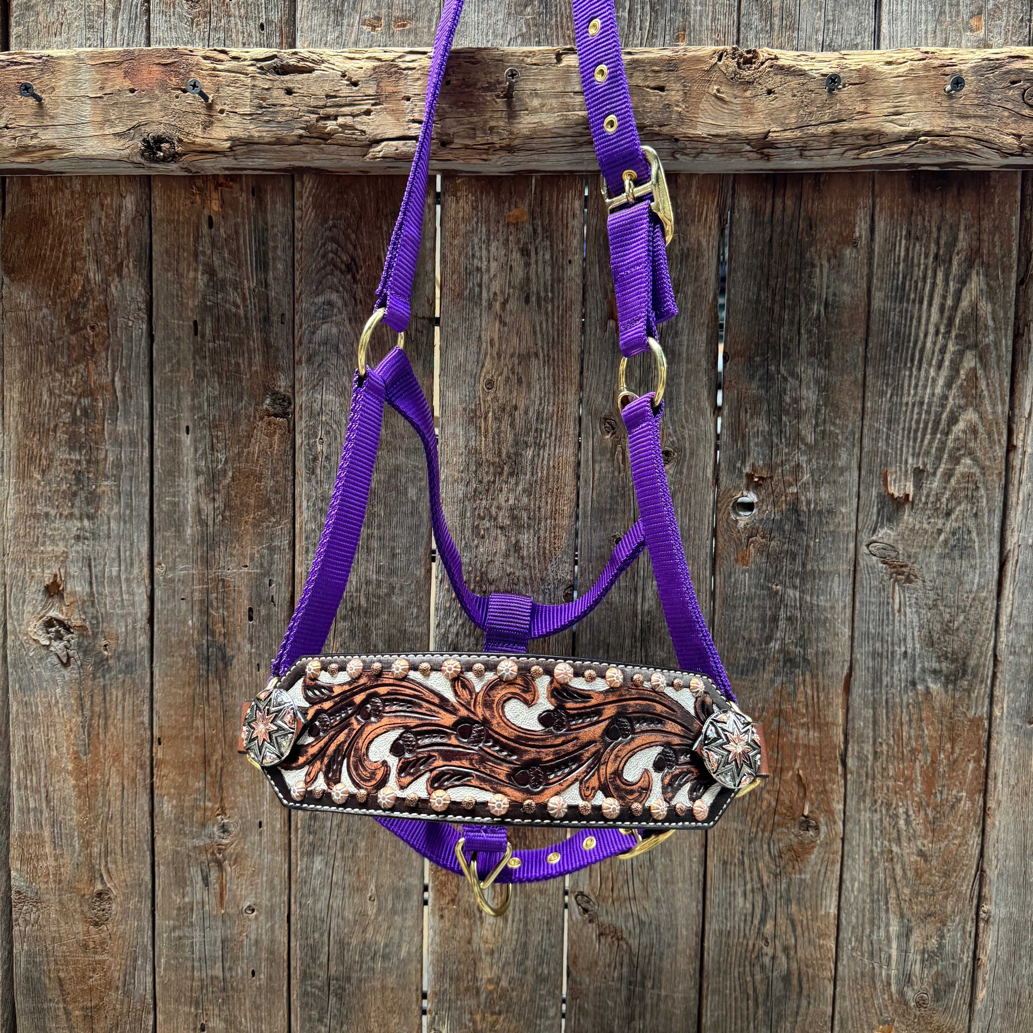 Purple Nylon Horse Halter – Bronc Noseband with Western Conchos NH110
