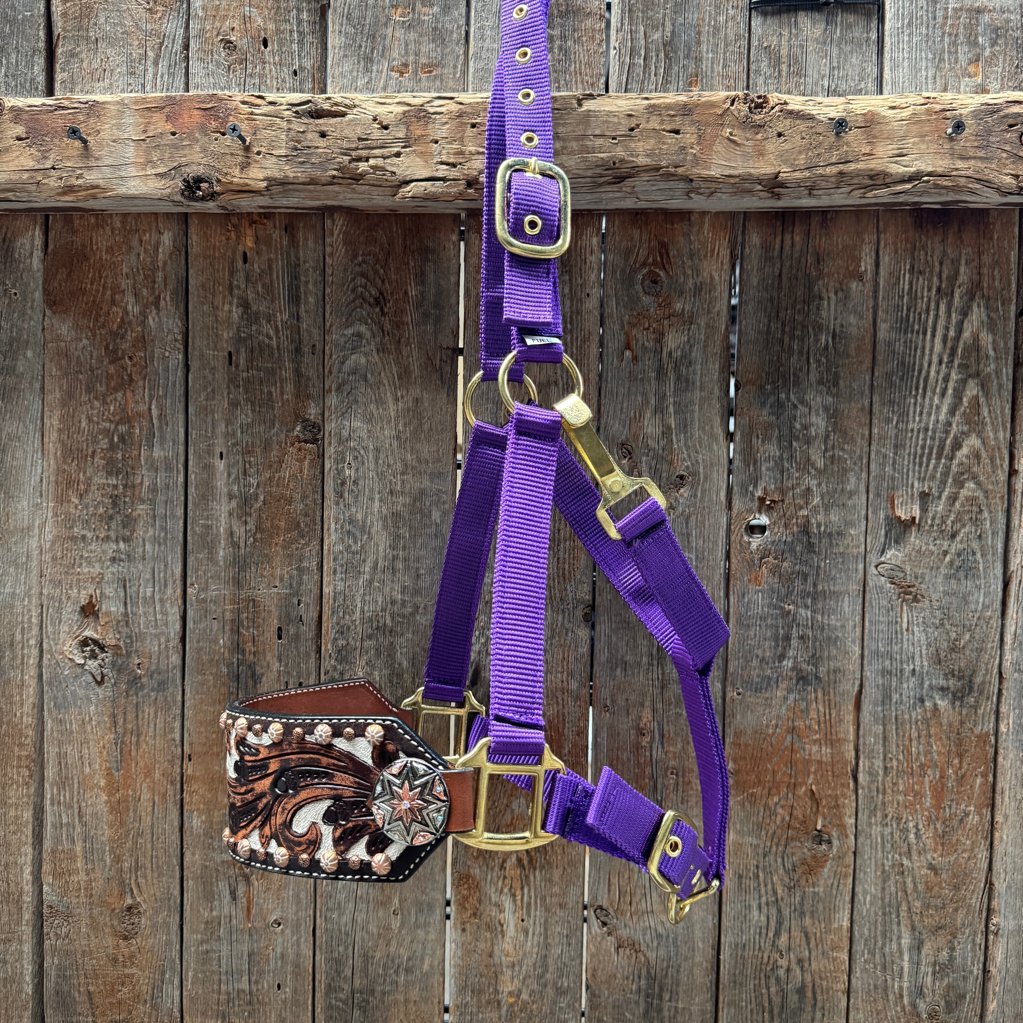 Purple Nylon Horse Halter – Bronc Noseband with Western Conchos NH110