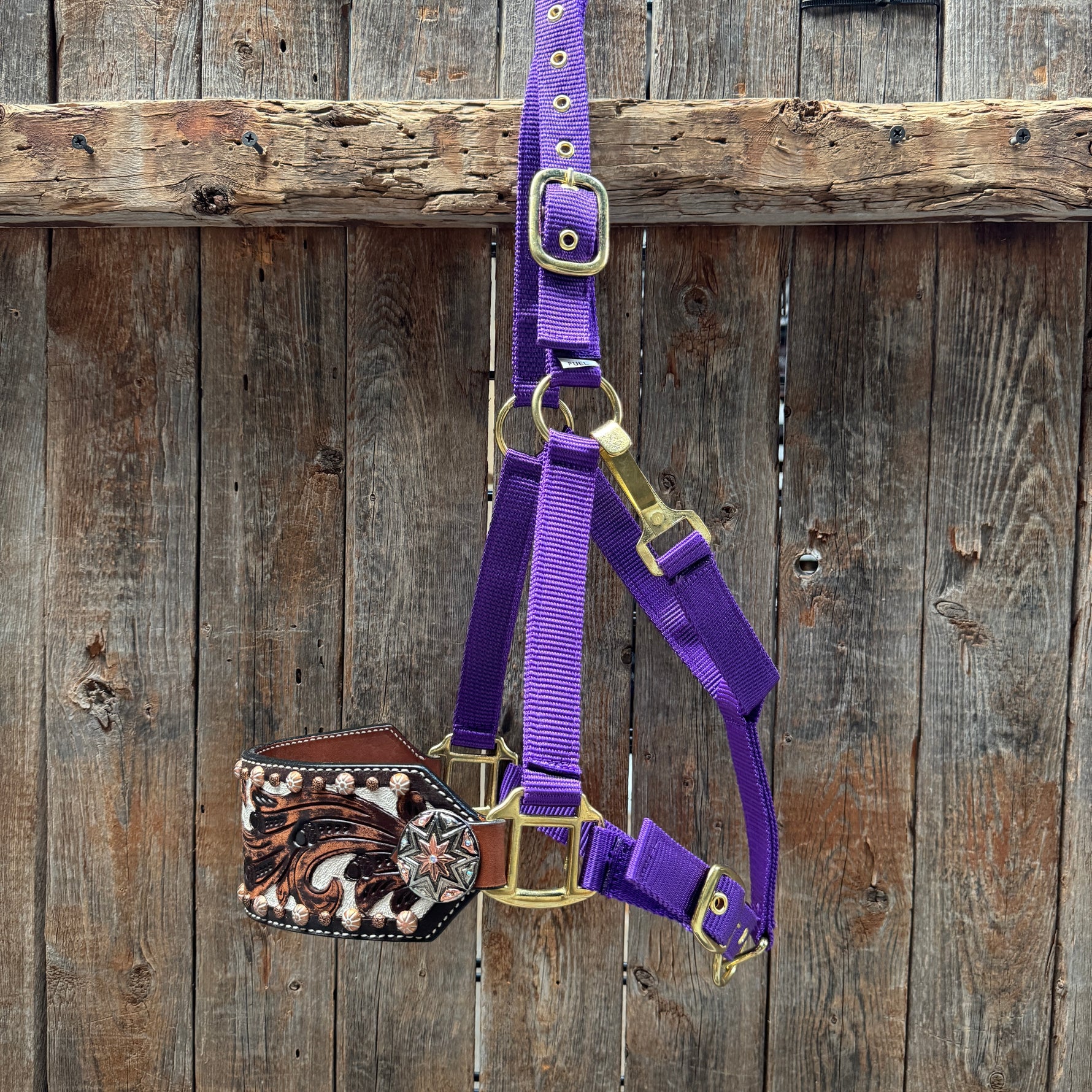 Purple Nylon Horse Halter – Bronc Noseband with Western Conchos NH110