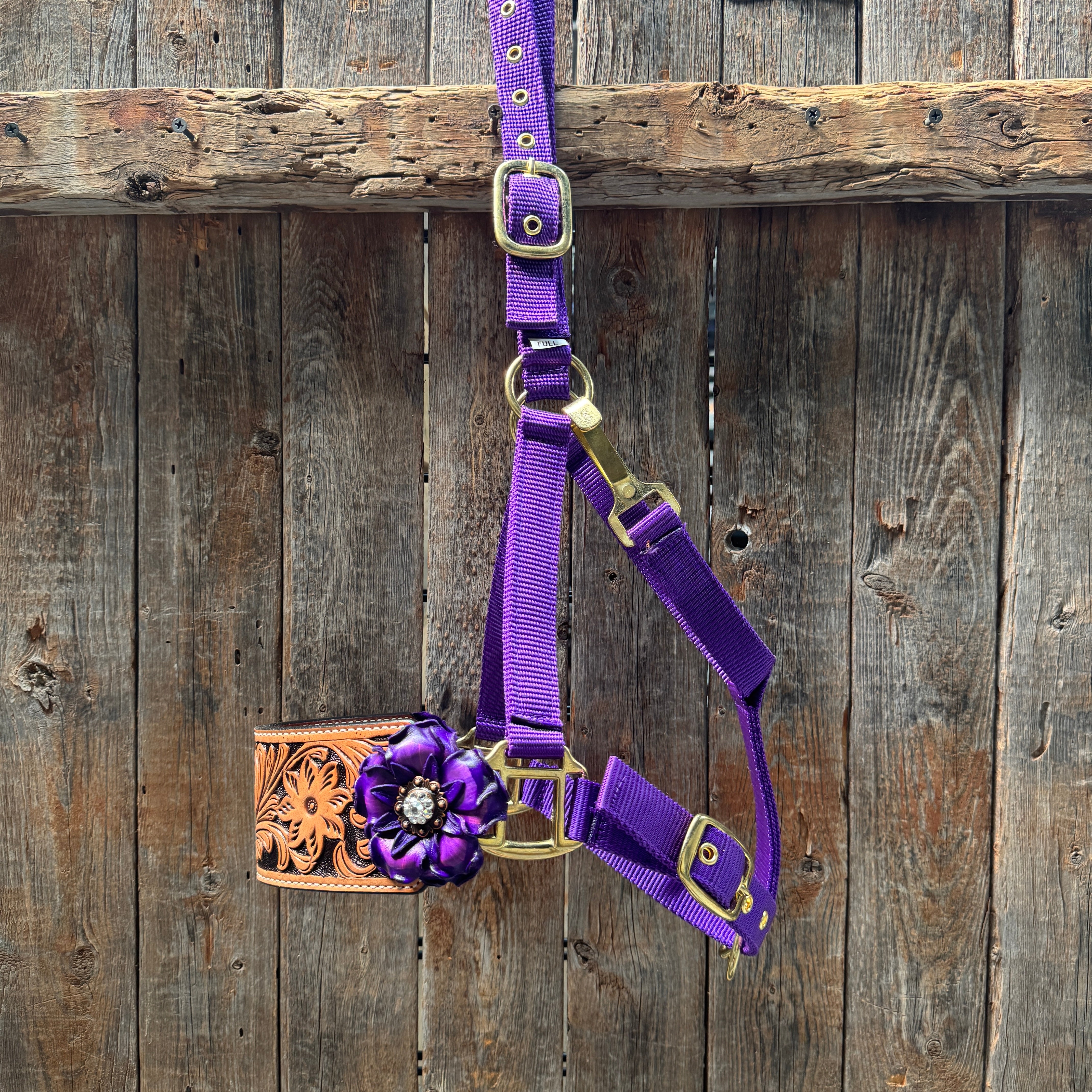 Purple Nylon Horse Halter – Bronc Noseband with Crystal Conchos NH109