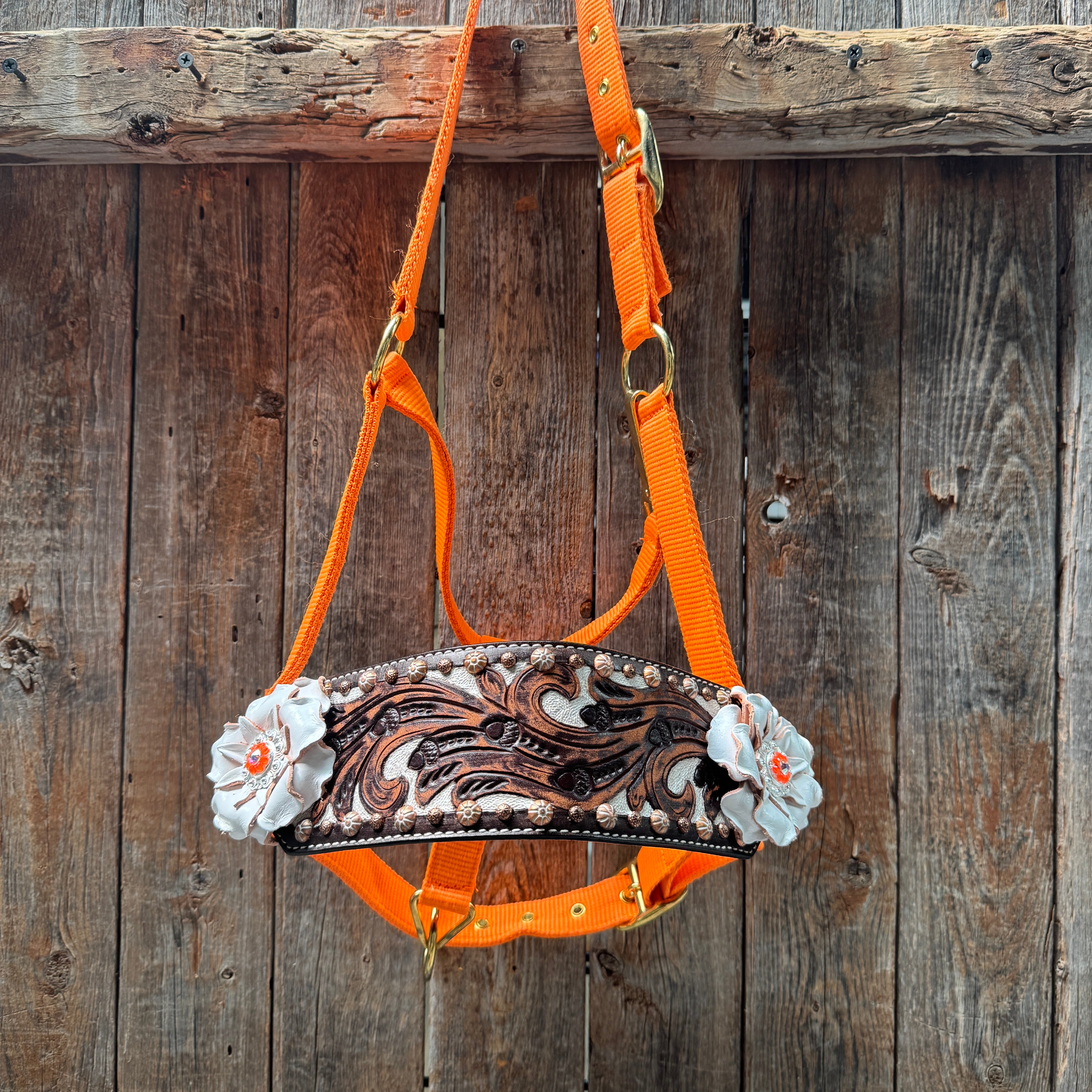 Orange Nylon Horse Halter – Bronc Noseband with Crystal Conchos NH111