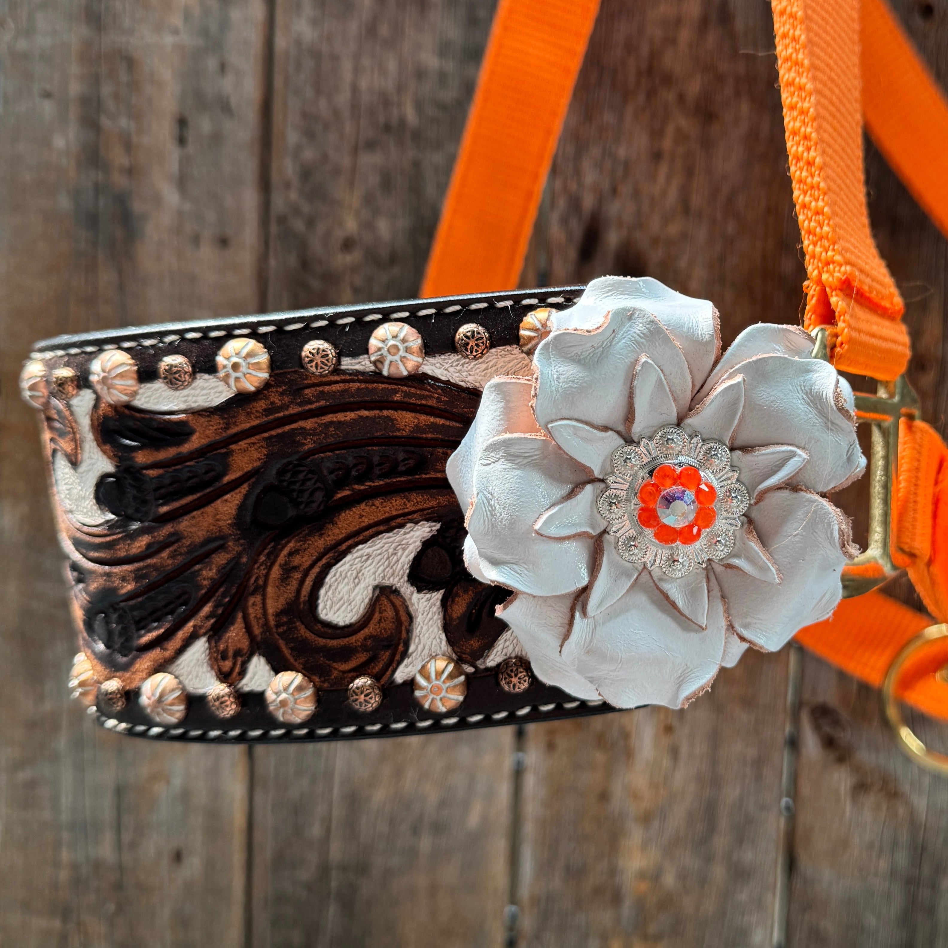 Orange Nylon Horse Halter – Bronc Noseband with Crystal Conchos NH111