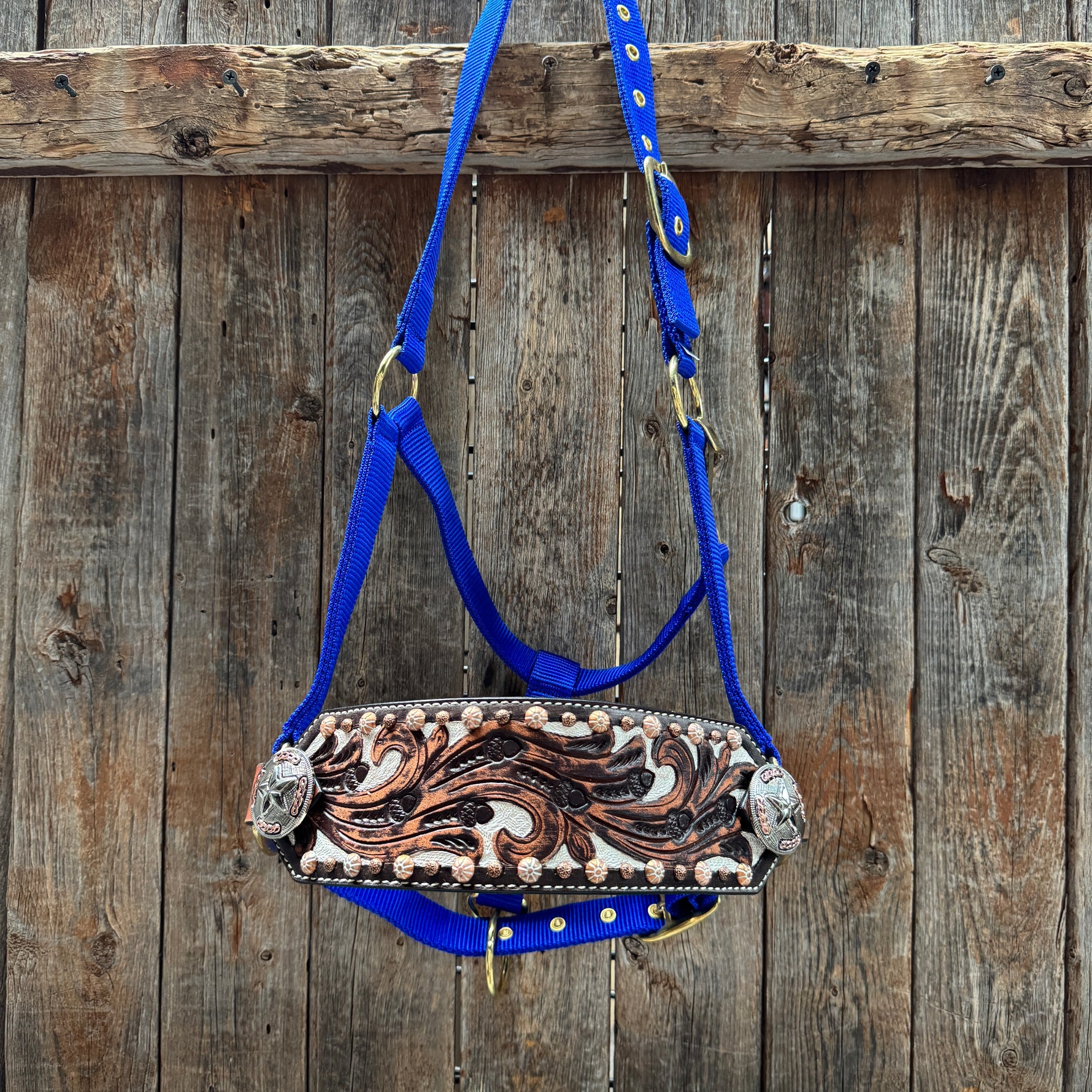 Blue Nylon Horse Halter – Bronc Noseband with Western Conchos NH112