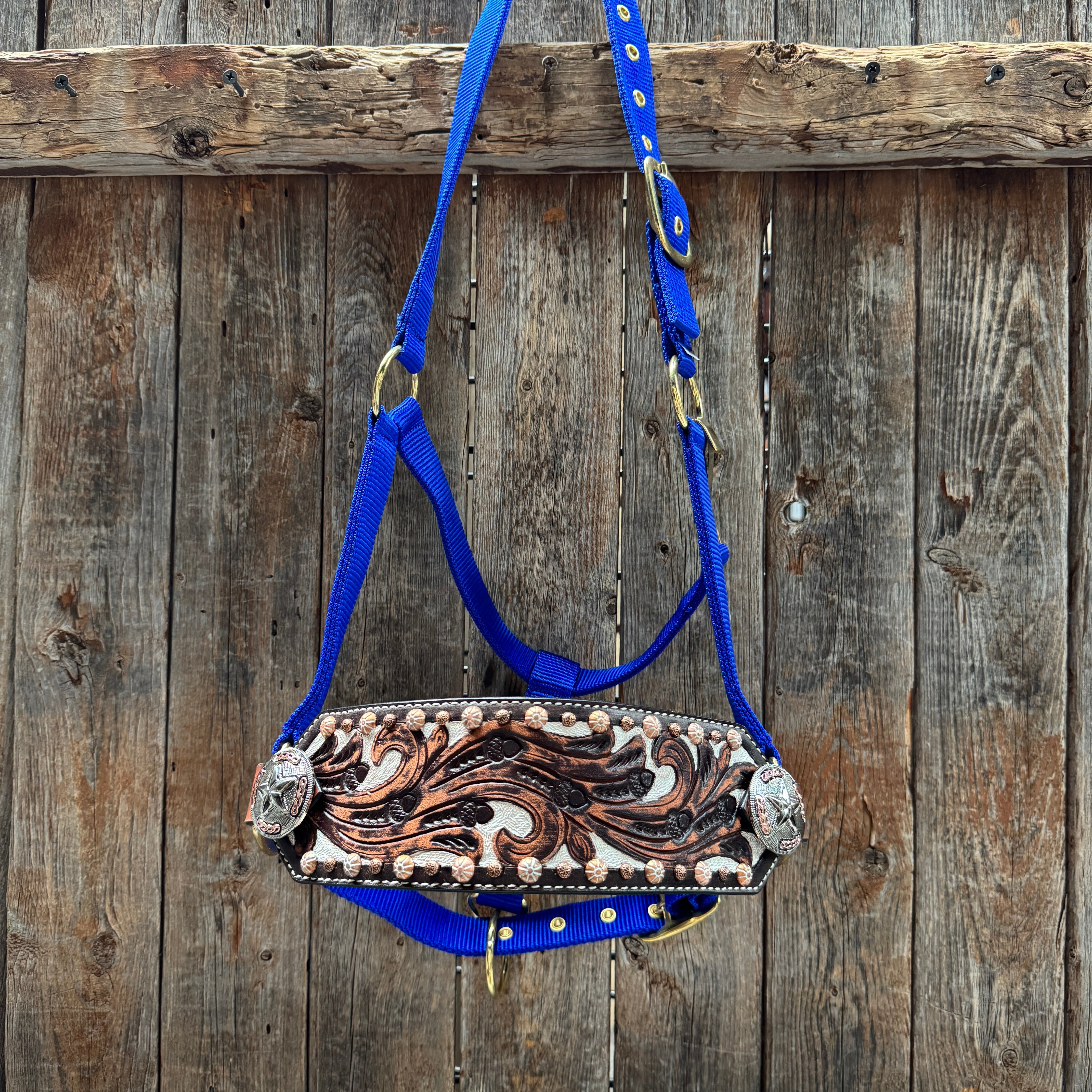 Blue Nylon Horse Halter – Bronc Noseband with Western Conchos NH112