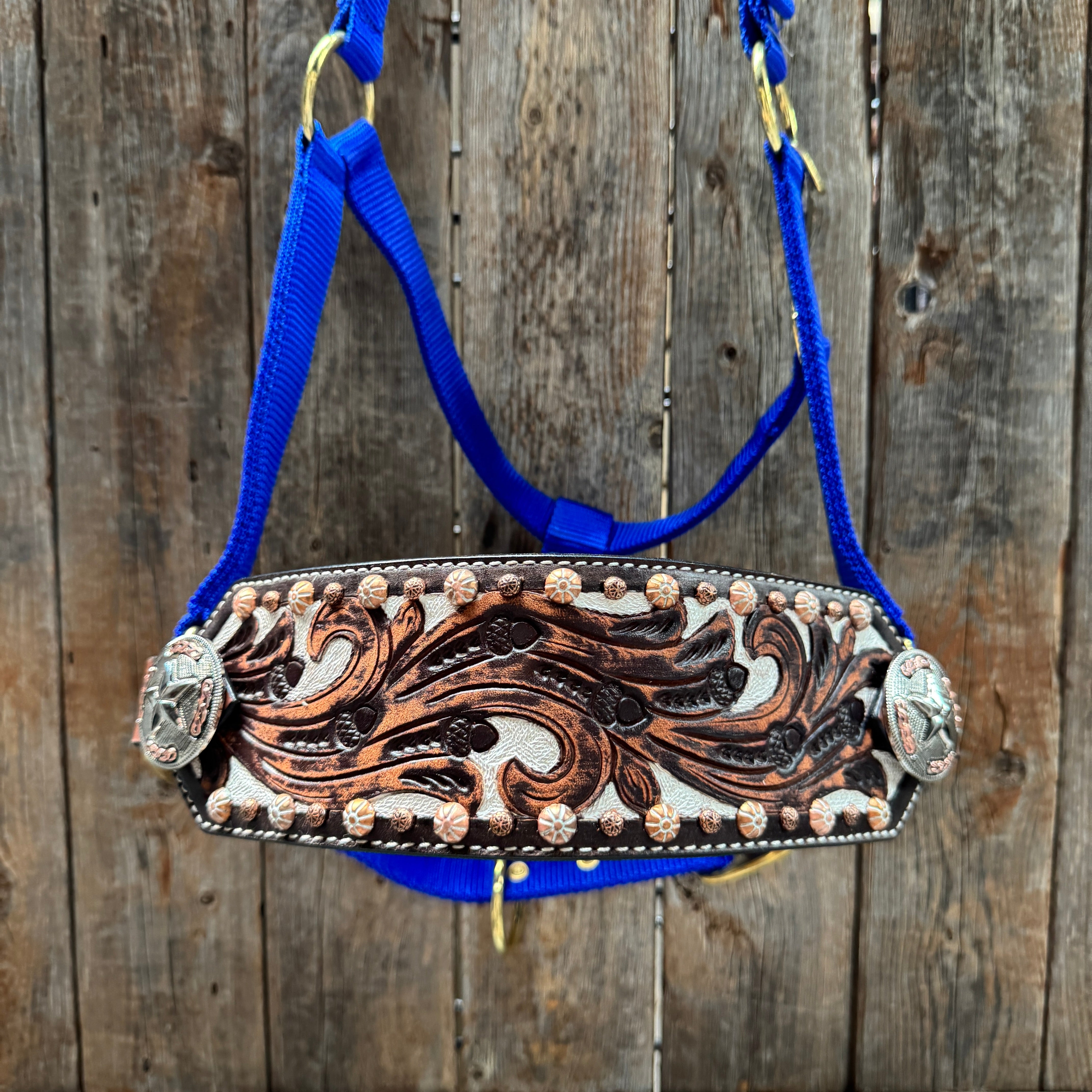 Blue Nylon Horse Halter – Bronc Noseband with Western Conchos NH112