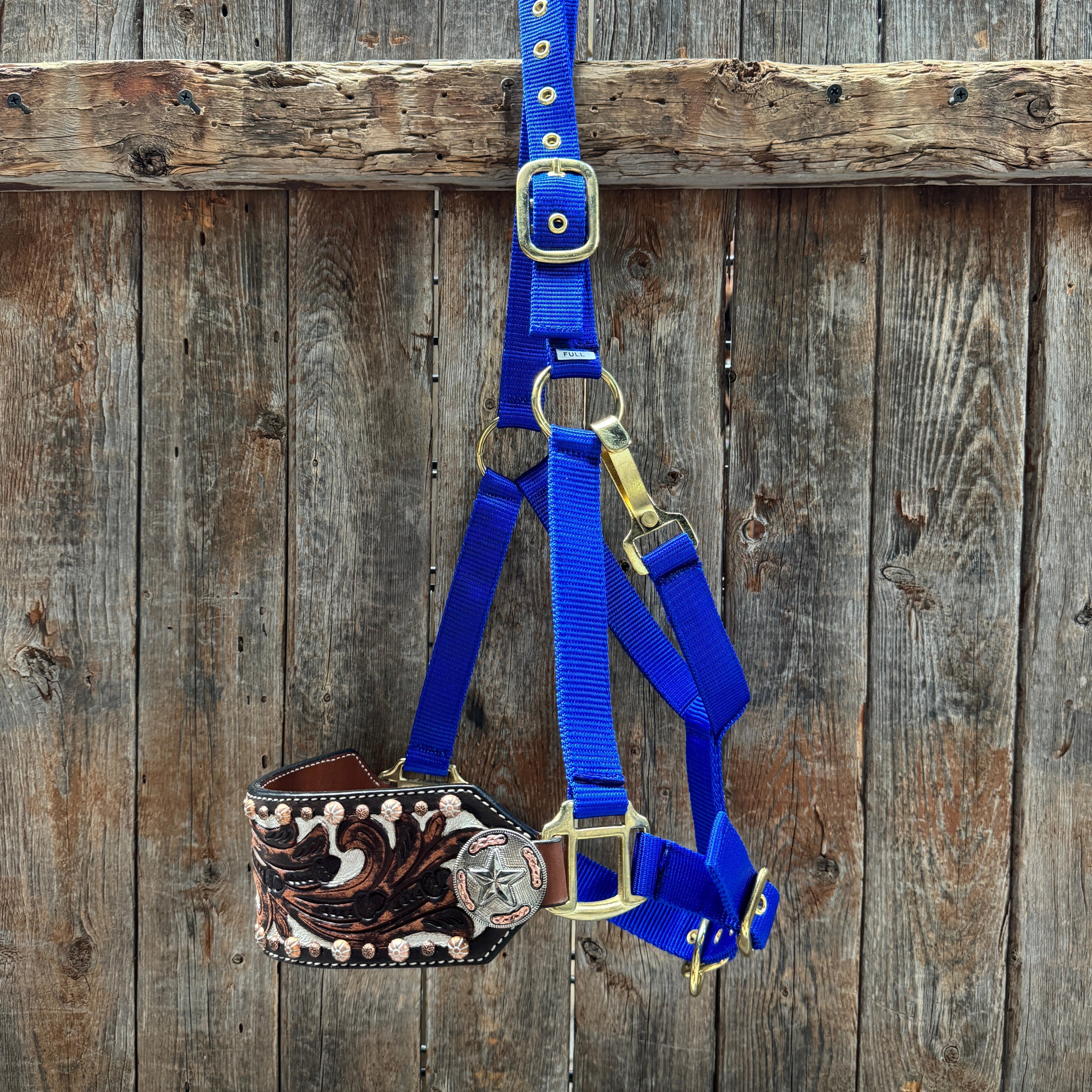 Blue Nylon Horse Halter – Bronc Noseband with Western Conchos NH112