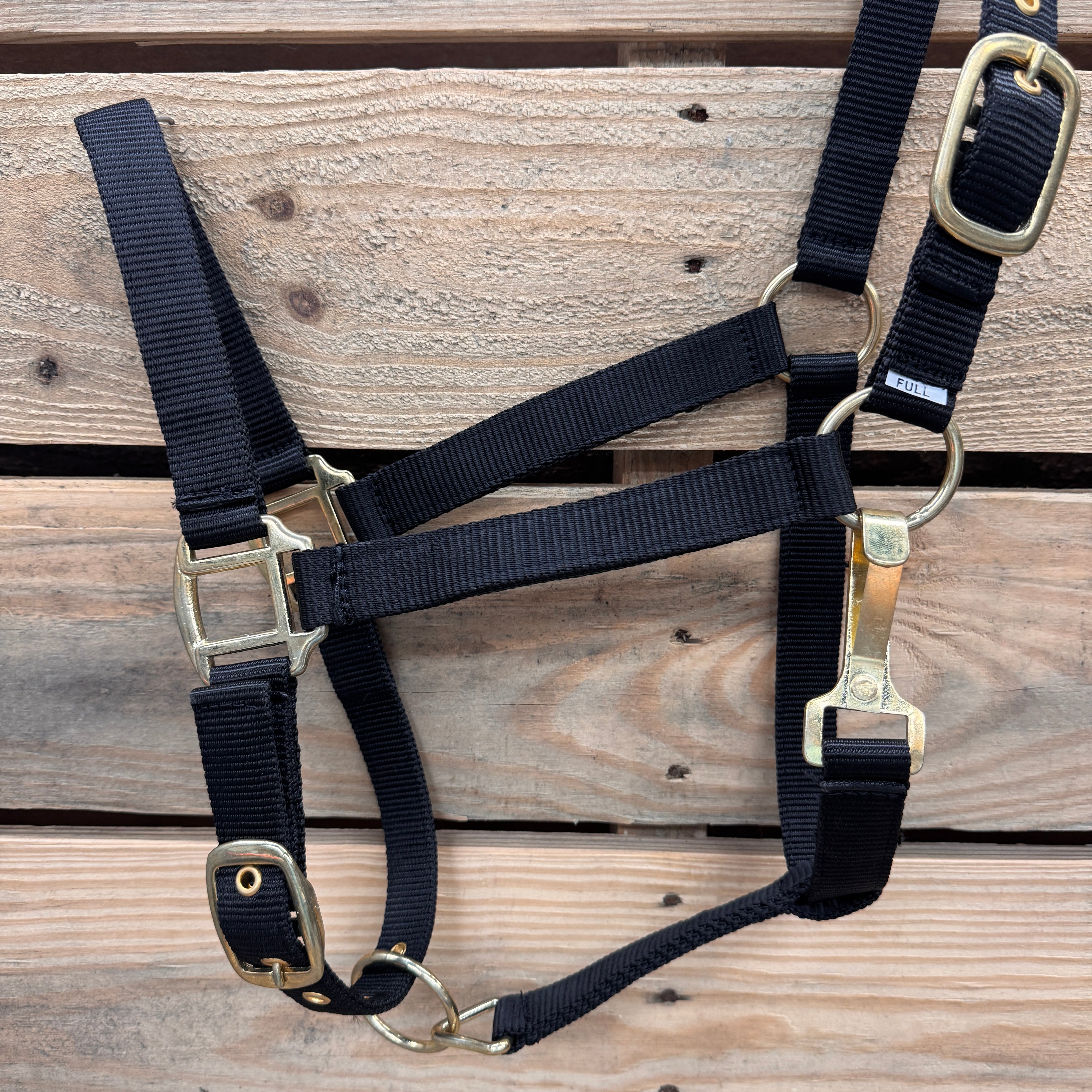 palomino horse with a black nylon halter 
in front of a rustic trailer