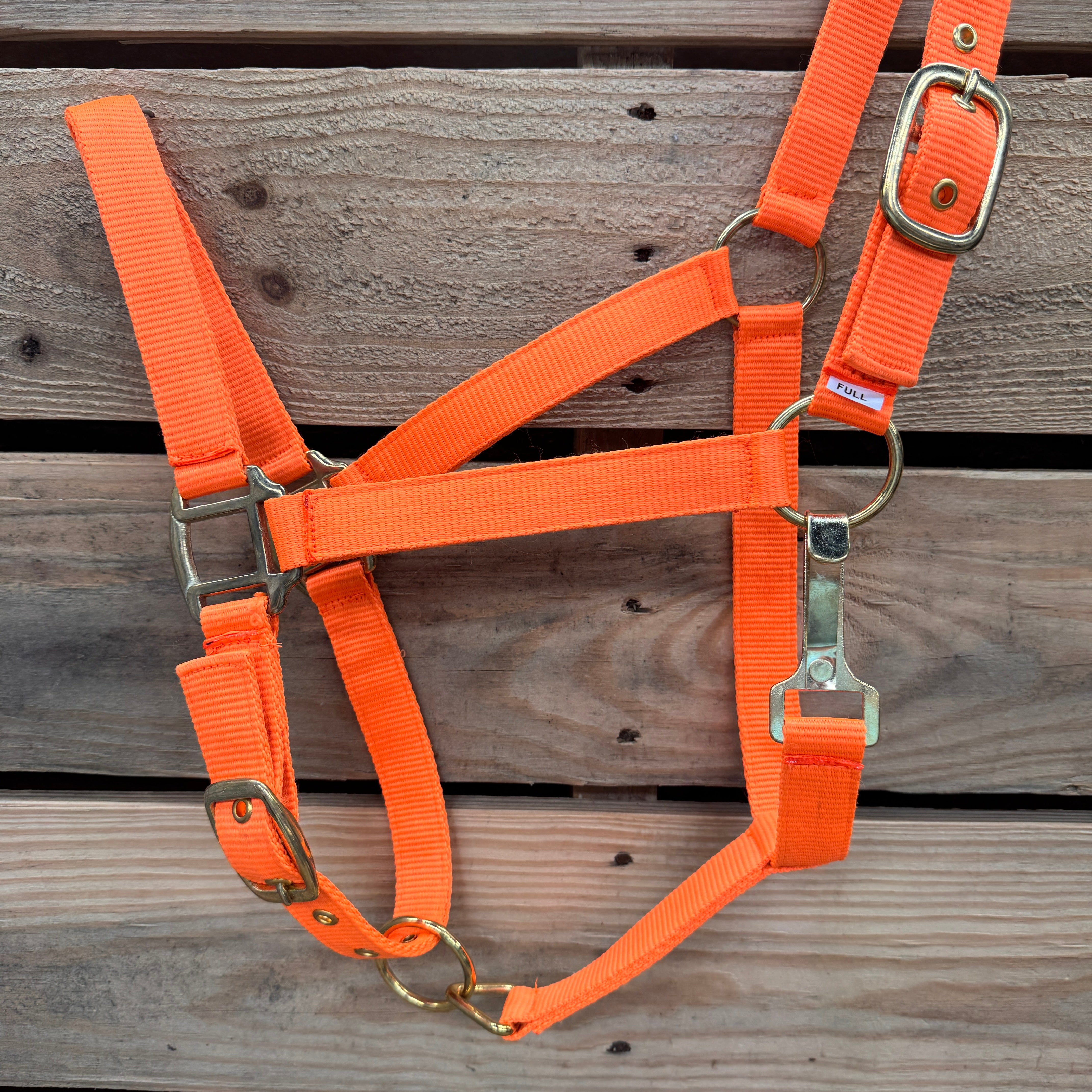 Orange Nylon Horse Halter NHORA