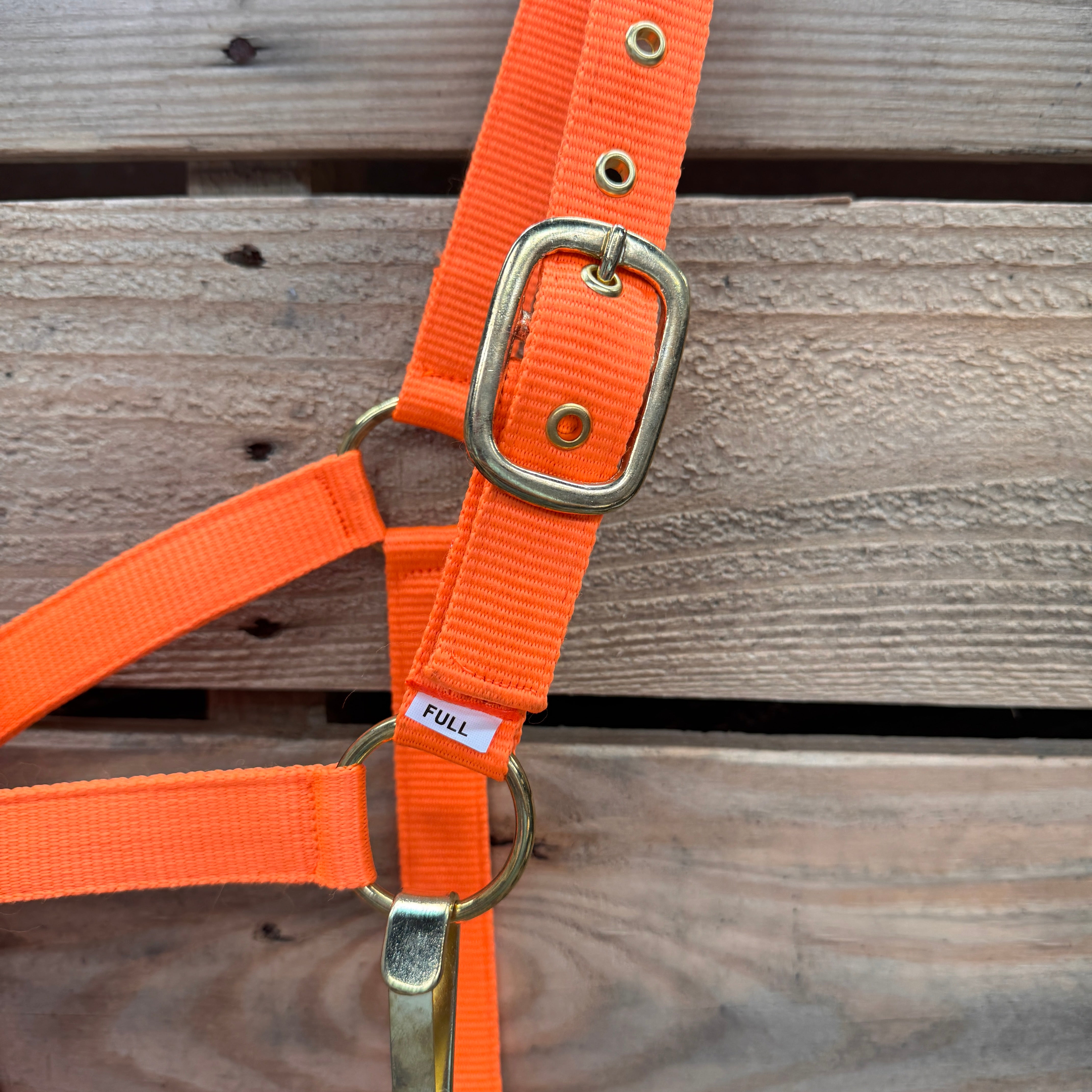 Orange Nylon Horse Halter NHORA