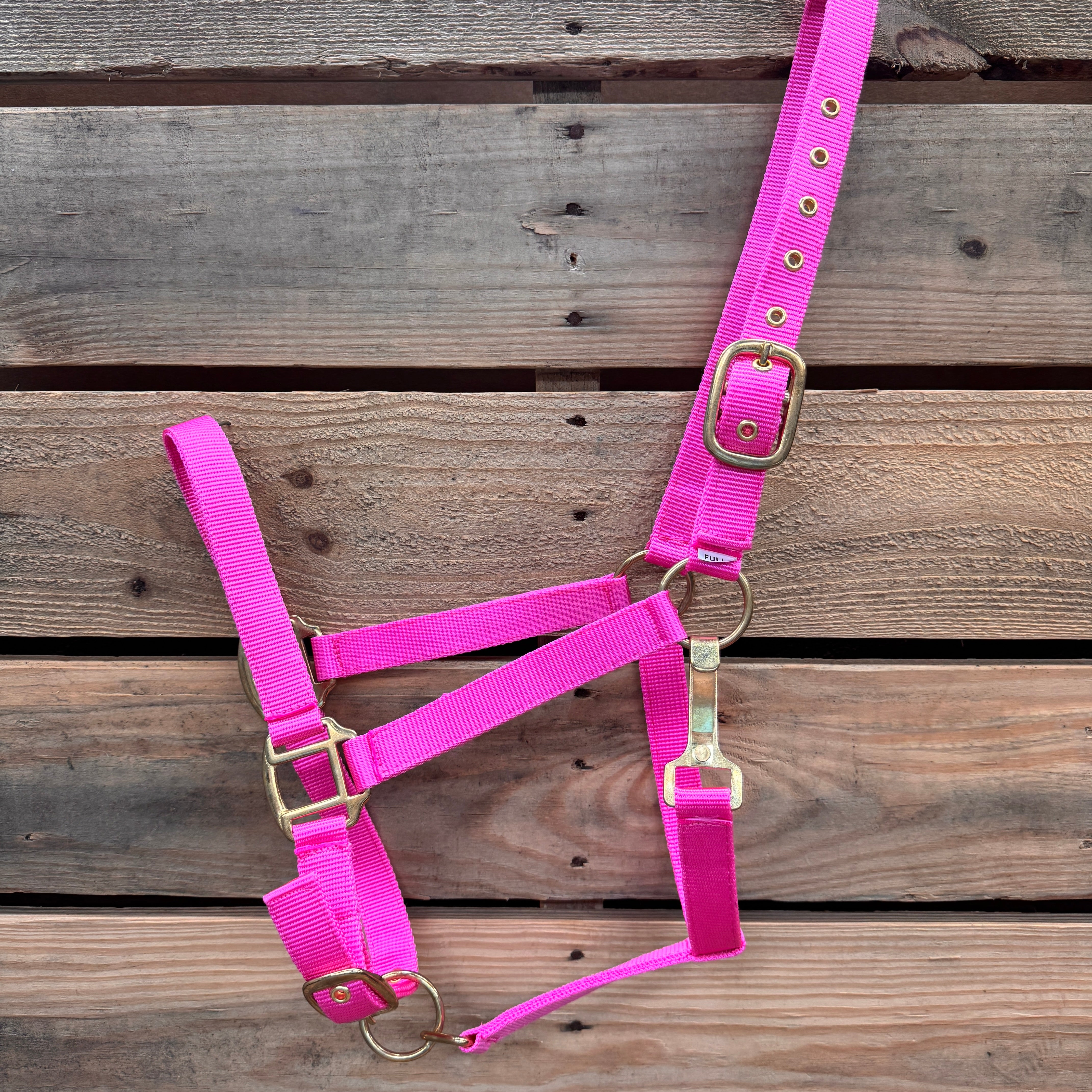 Pink Nylon Horse Halter NHPINK