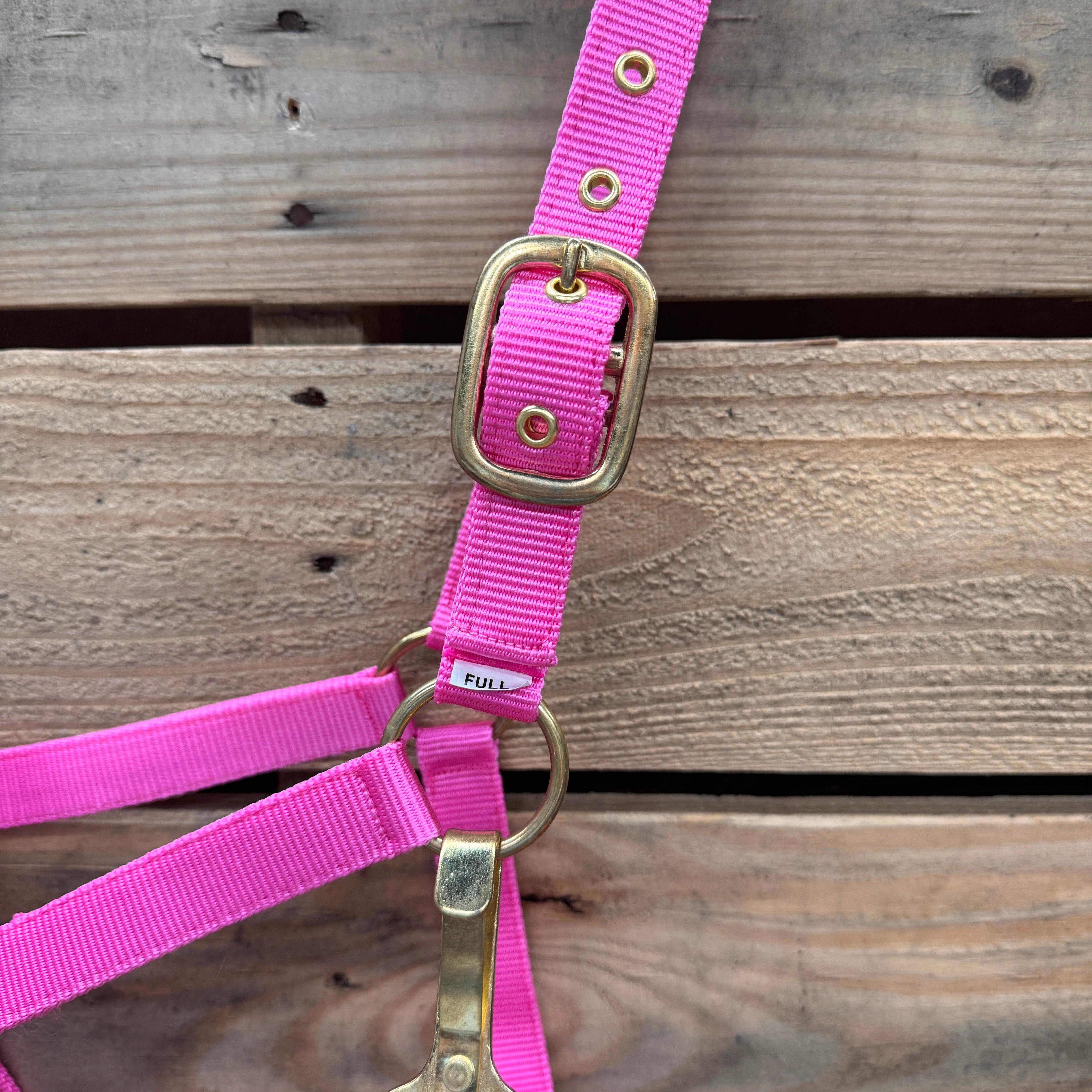 Pink Nylon Horse Halter NHPINK