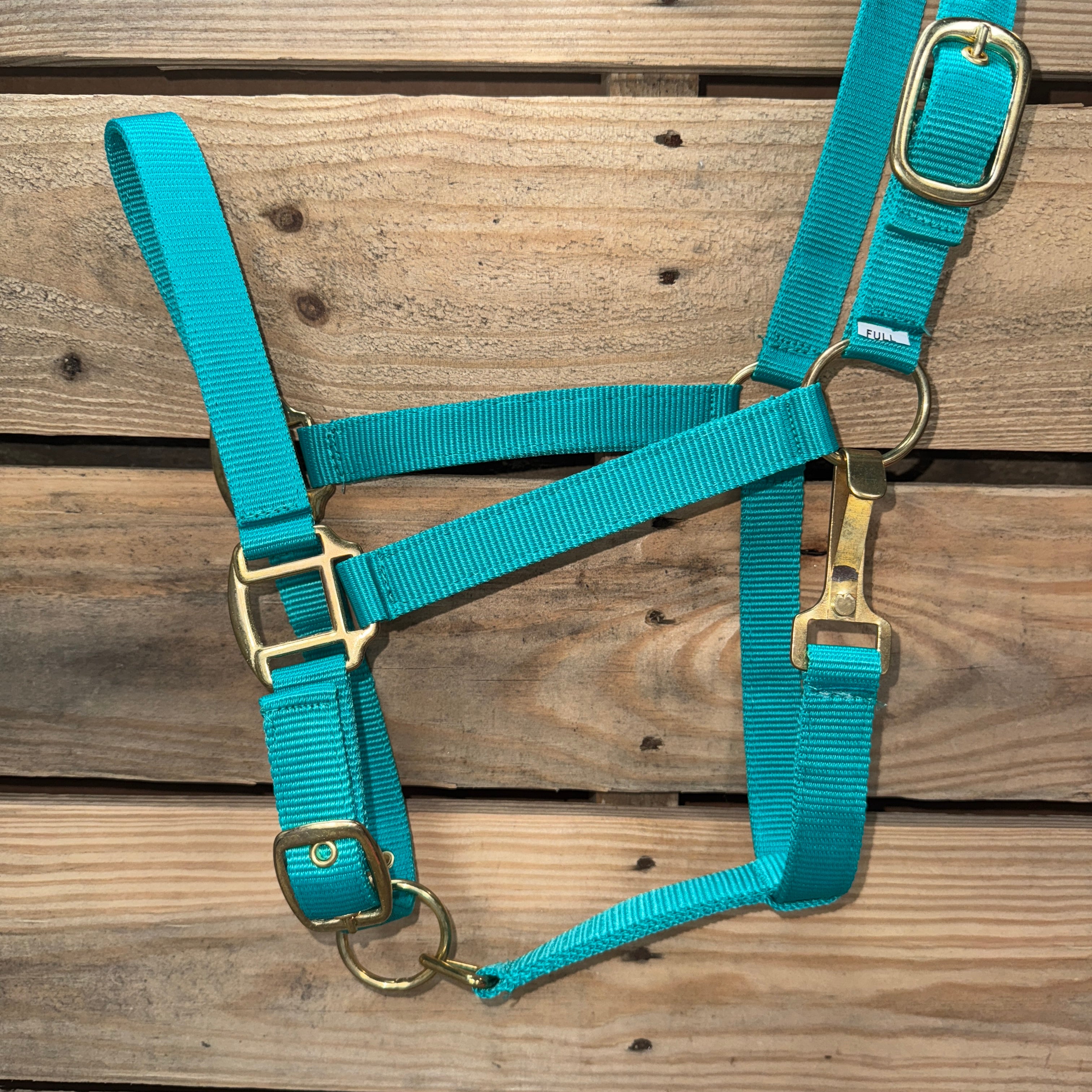 Teal  Nylon Horse Halter NHTEAL