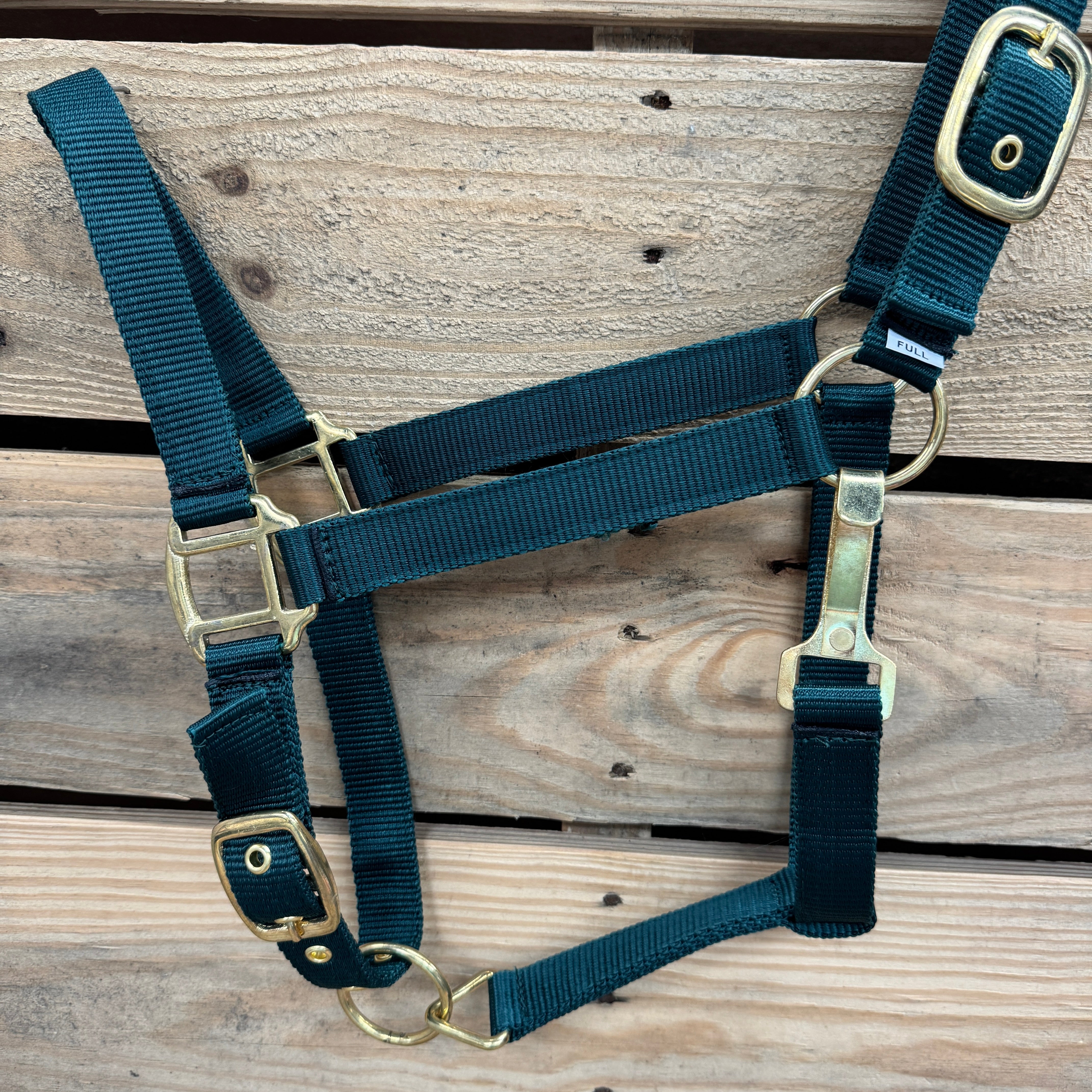 Hunter Green Nylon Horse Halter NHGRN