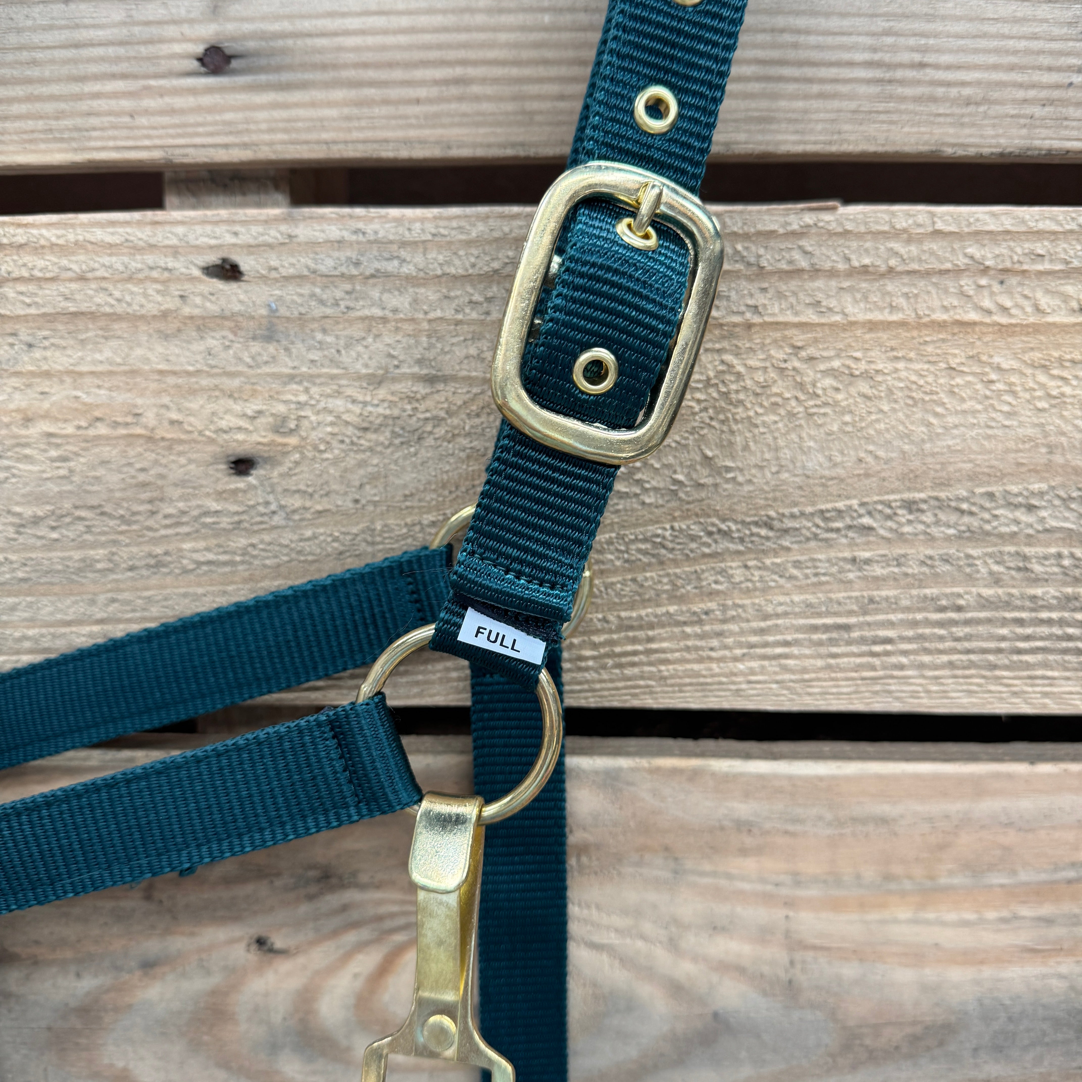 Hunter Green Nylon Horse Halter NHGRN