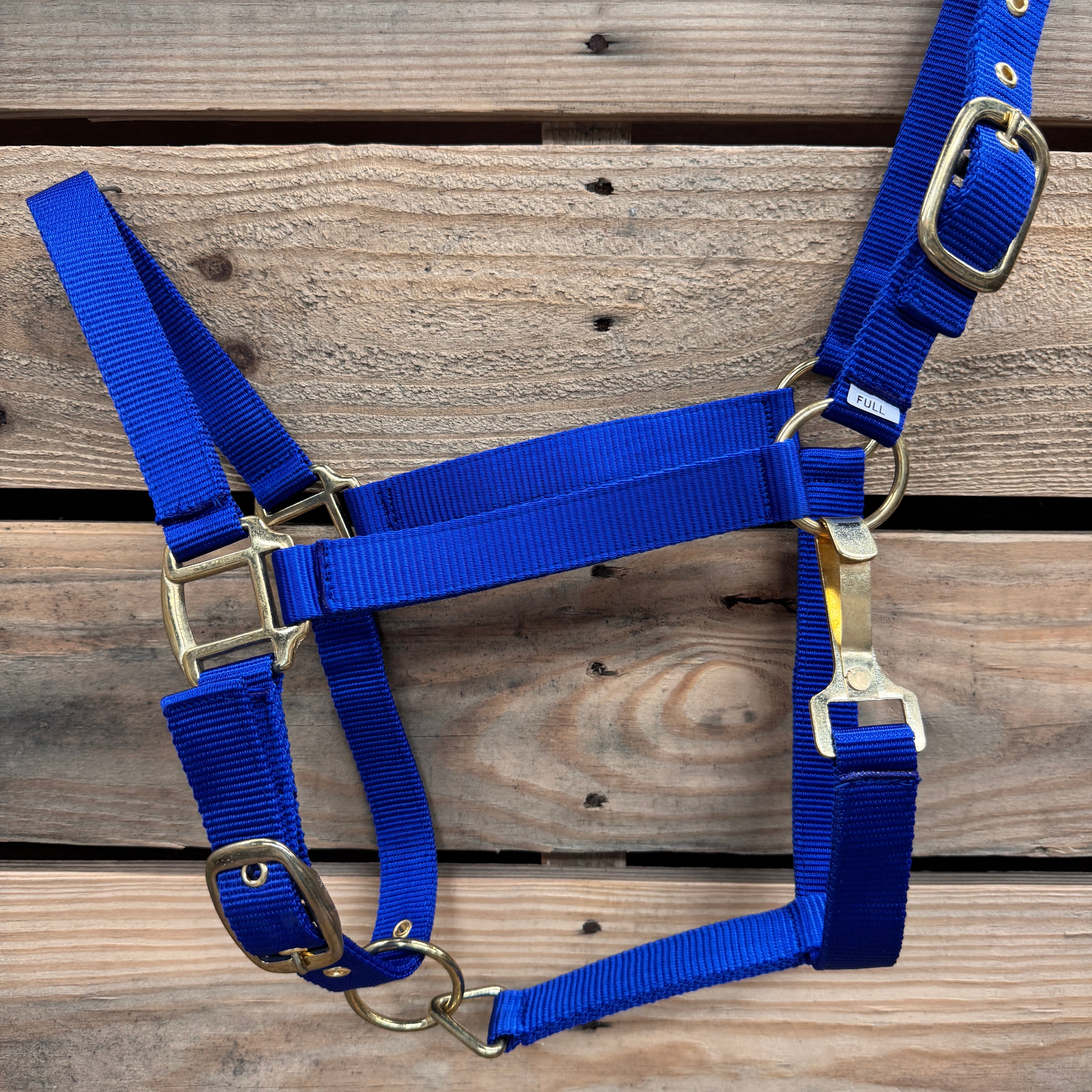 Blue Nylon Horse Halter NHBLUE