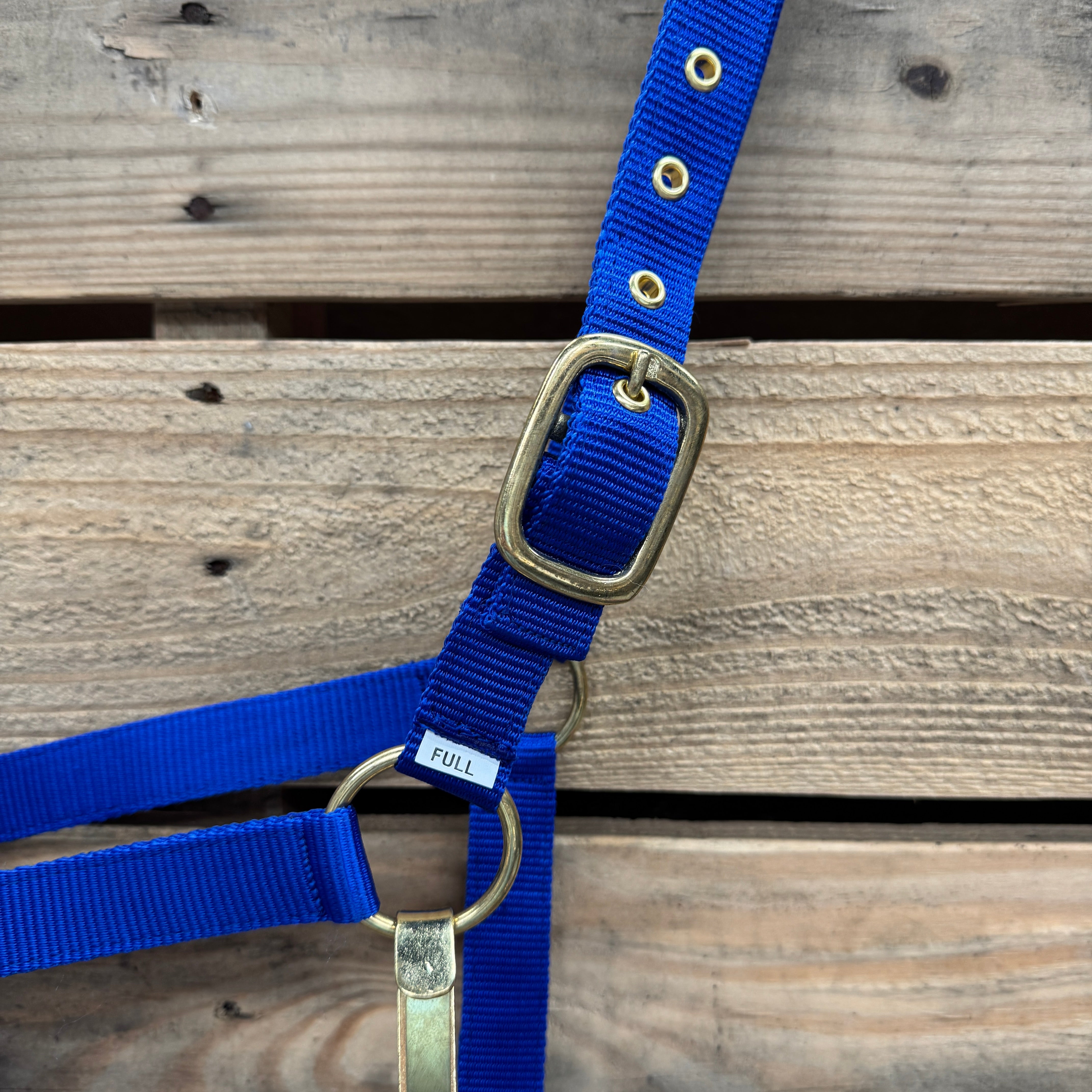 Blue Nylon Horse Halter NHBLUE