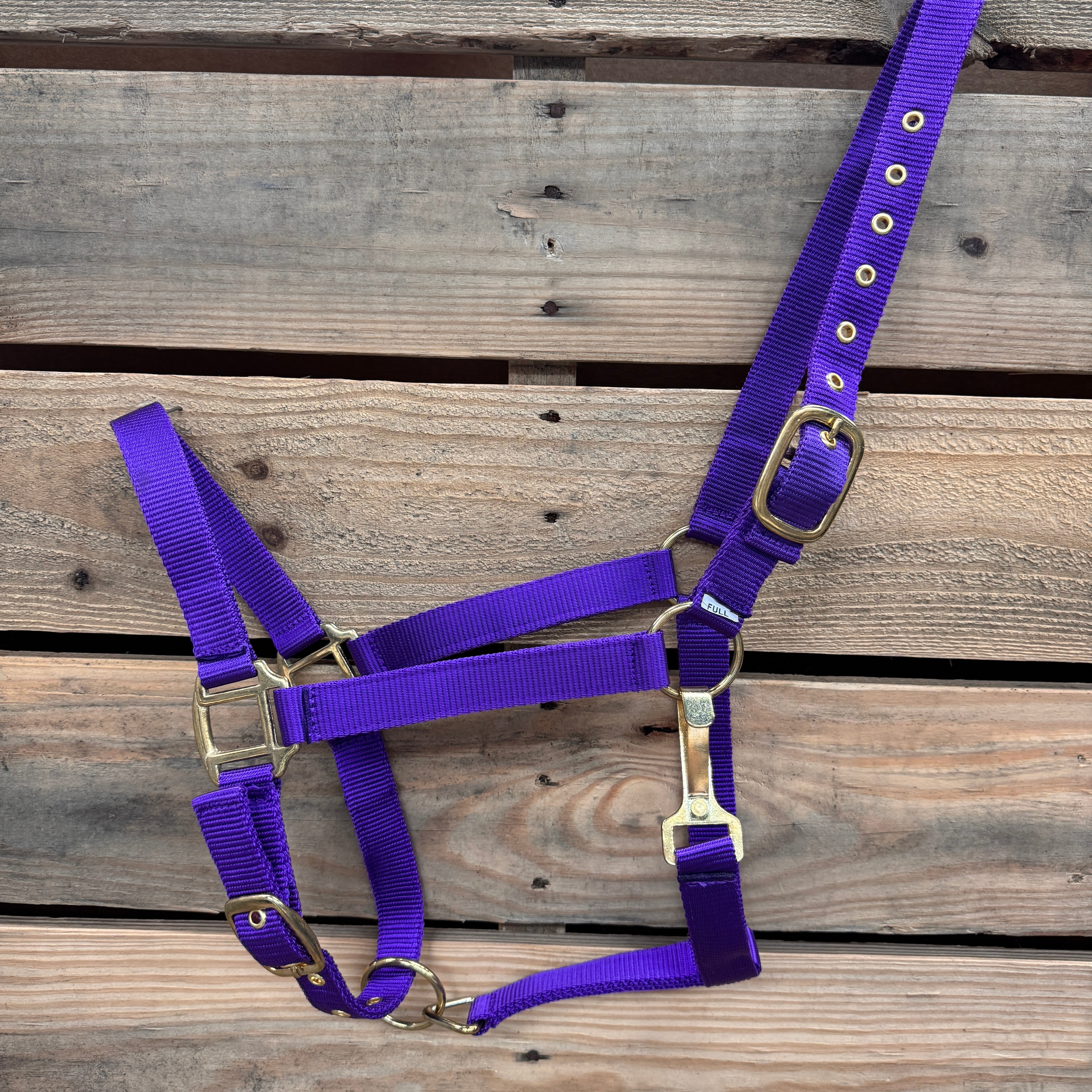 Purple Nylon Horse Halter NHPUR