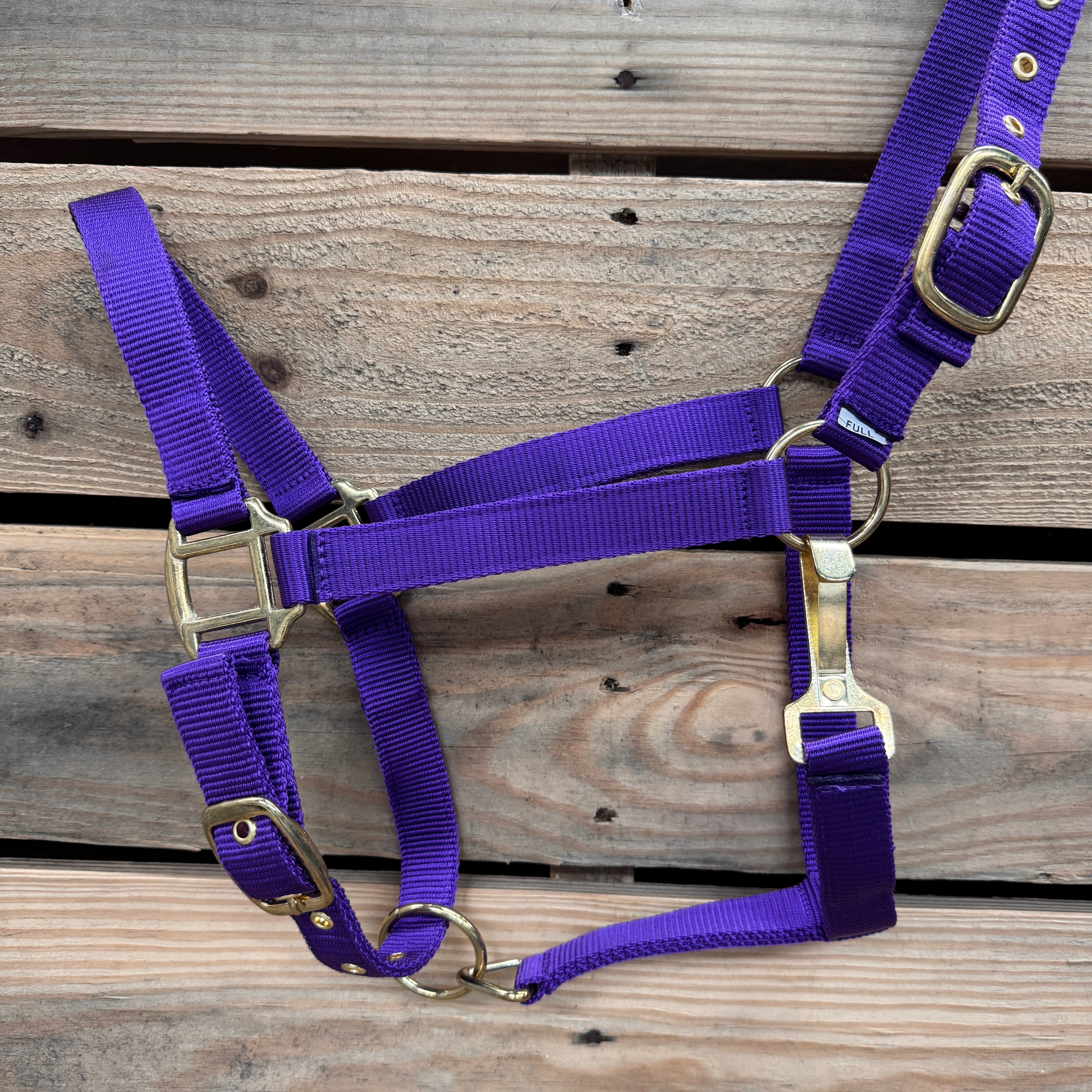 Purple Nylon Horse Halter NHPUR