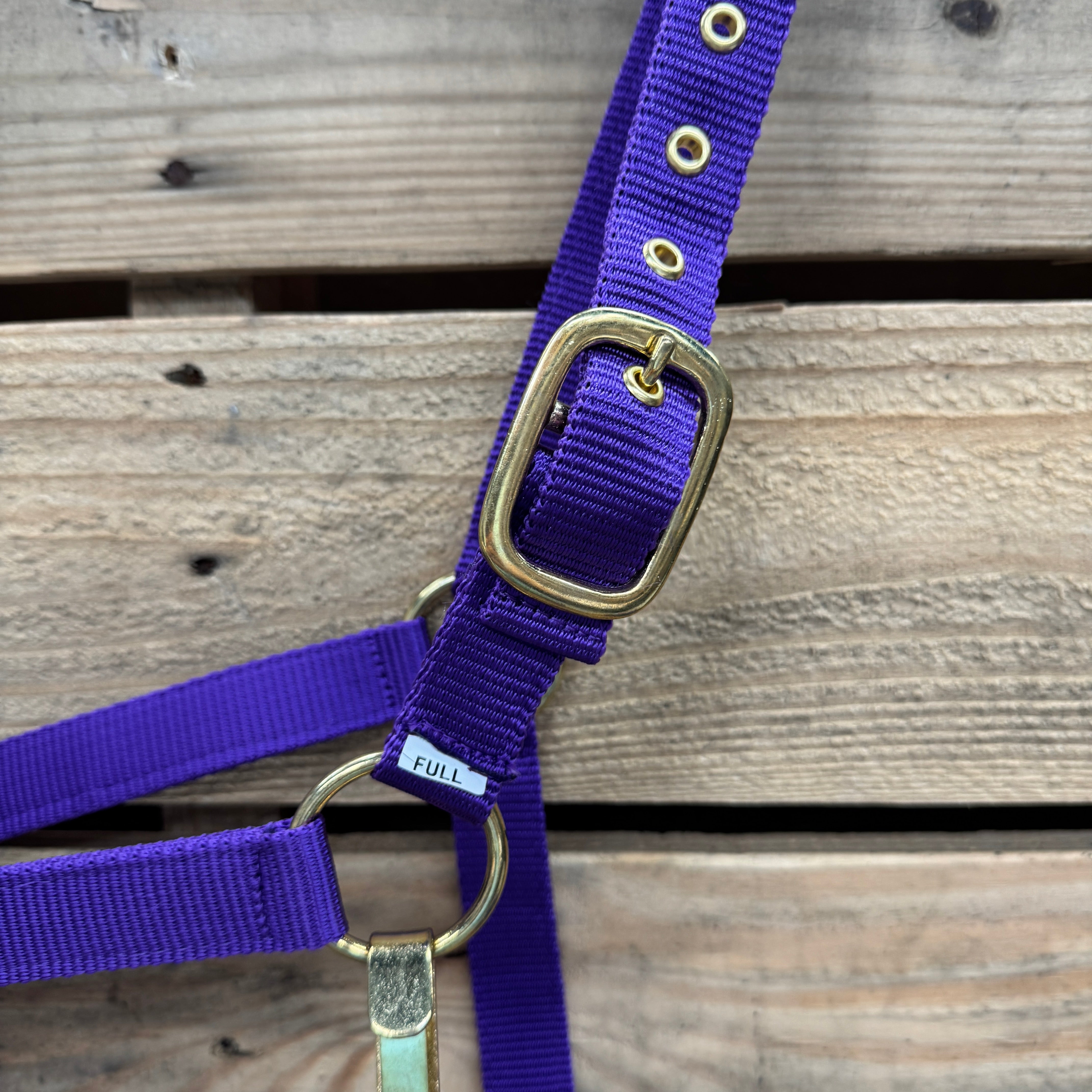 Purple Nylon Horse Halter NHPUR