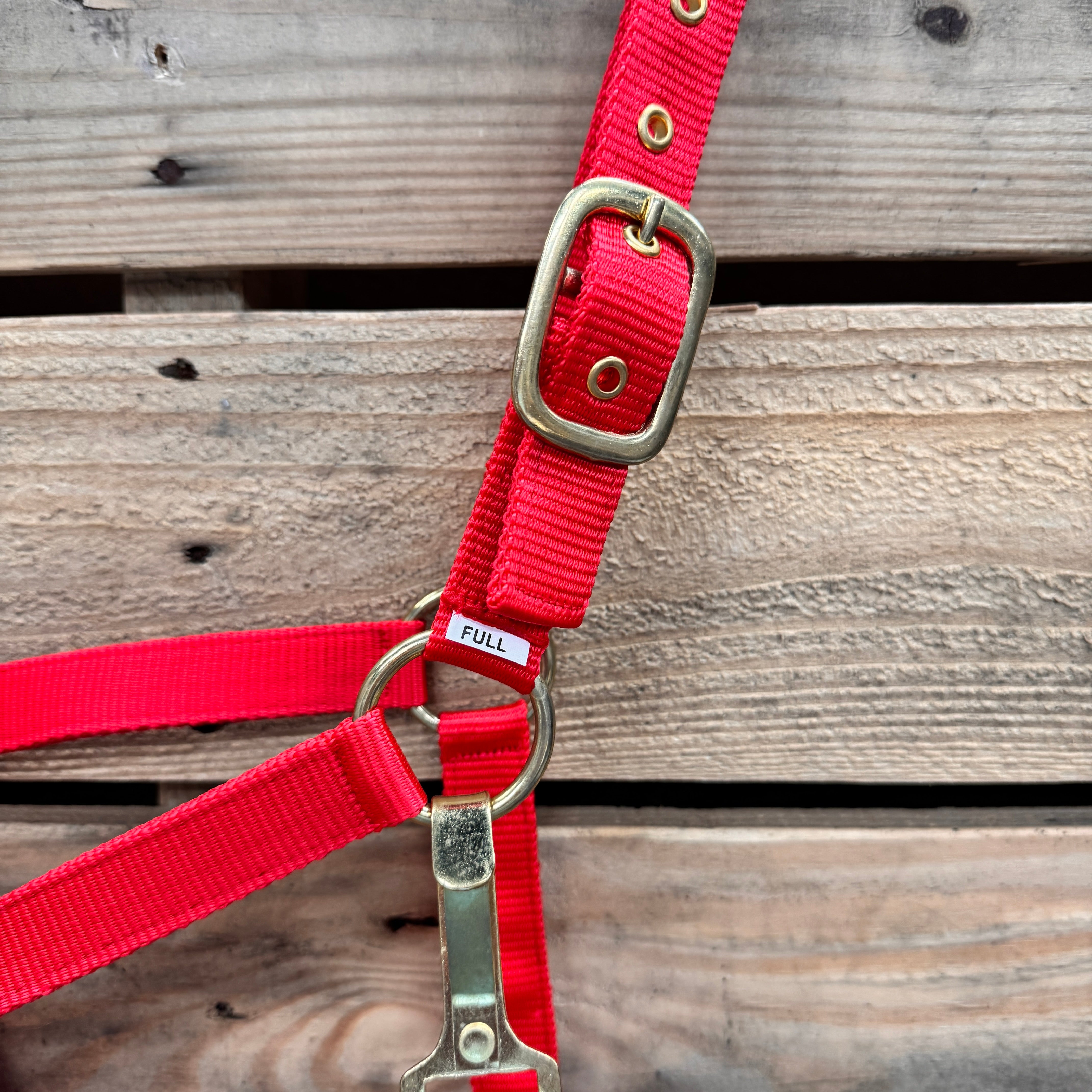 Red Nylon Horse Halter NHRED