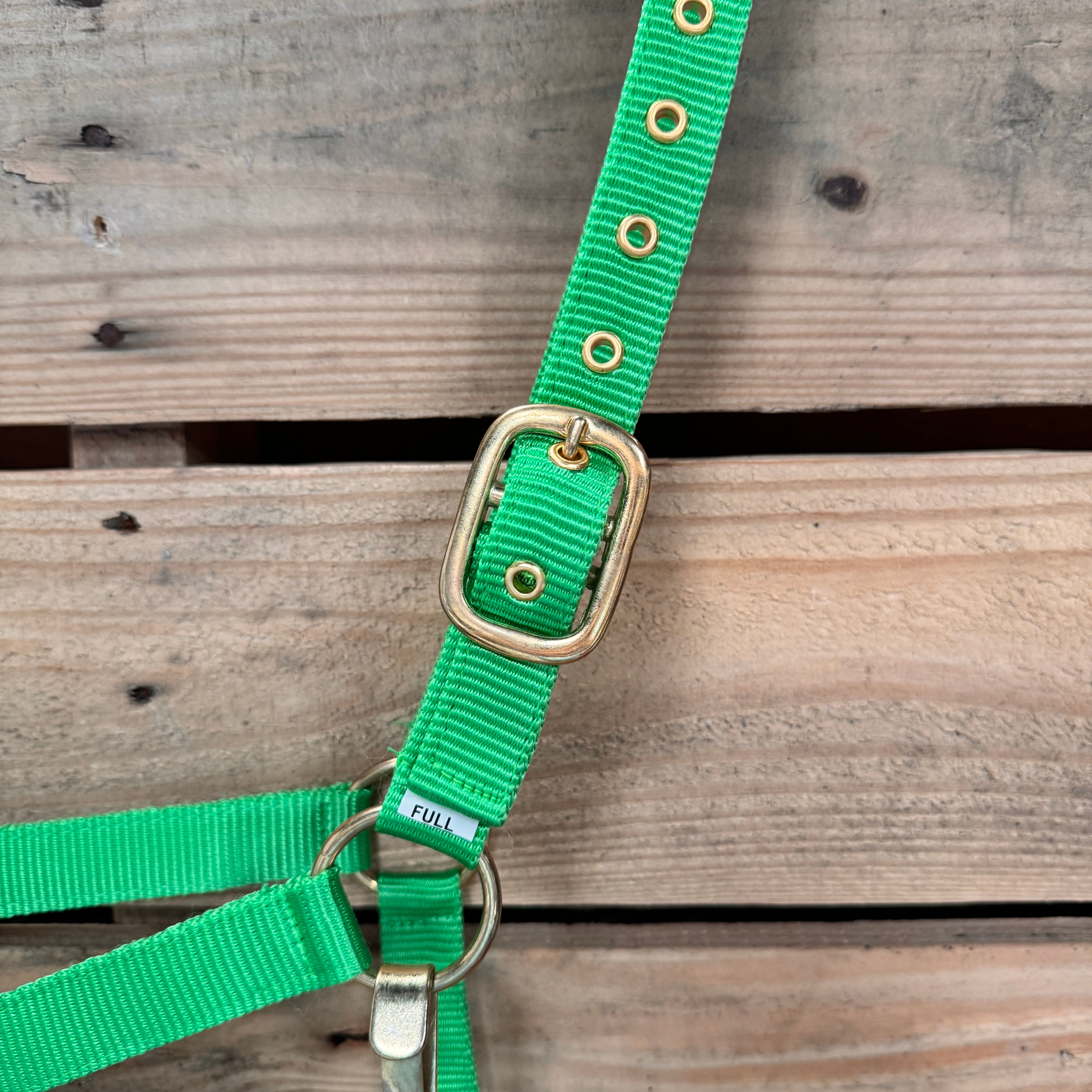 Lime Nylon Horse Halter NHNGN