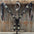 Dark Oil Buckstitch Gold Cross Browband/One Ear and Breastcollar Tack Set #BBBC401