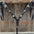 Dark Oil Buckstitch Gold Cross Browband/One Ear and Breastcollar Tack Set #BBBC401