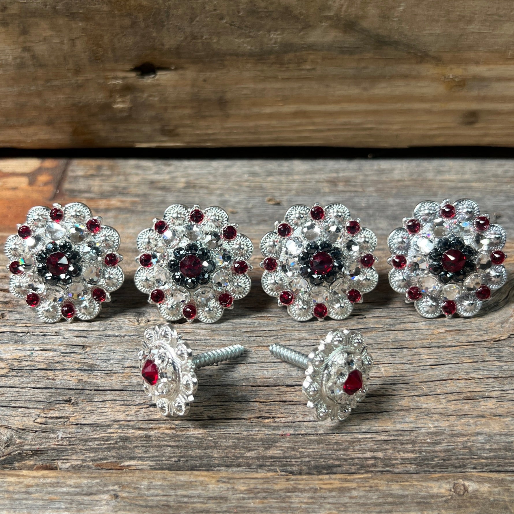 Bright Silver Ruby Jet & Clear Saddle Conchos
