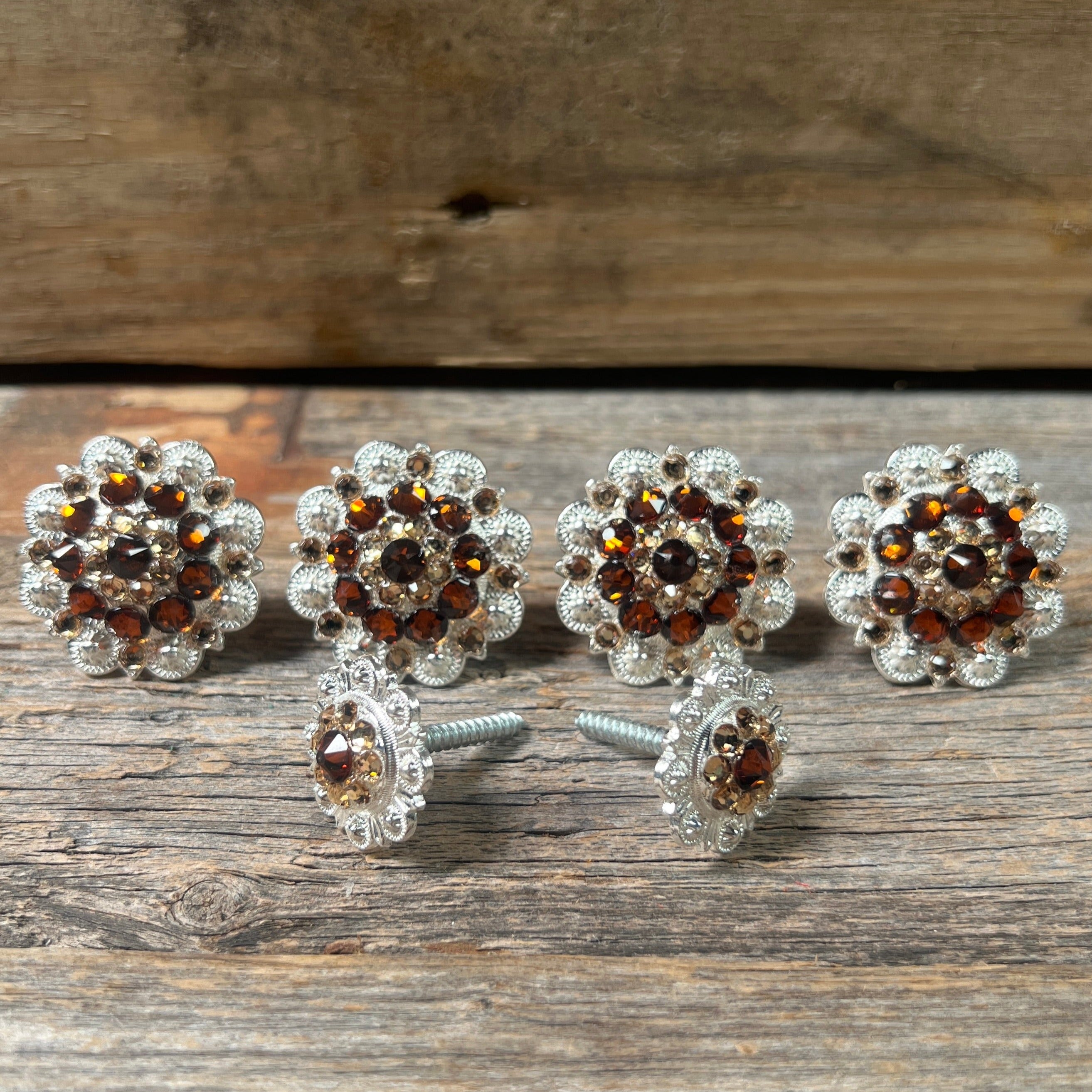 Bright Silver Topaz & Champagne Saddle Conchos