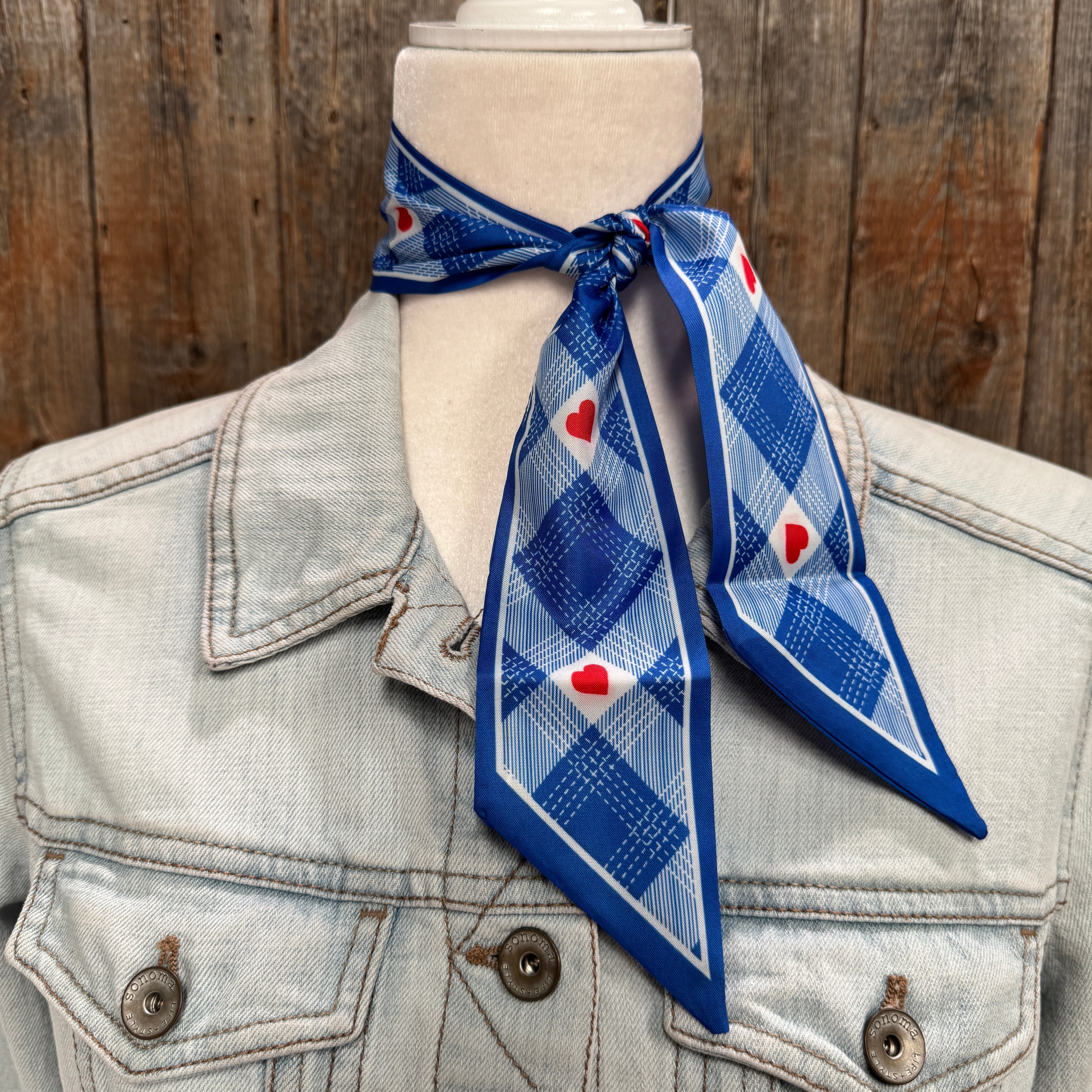 Blue Western Skinny Mini Wild Rag Scarf / Cowgirl Necktie  #TW126