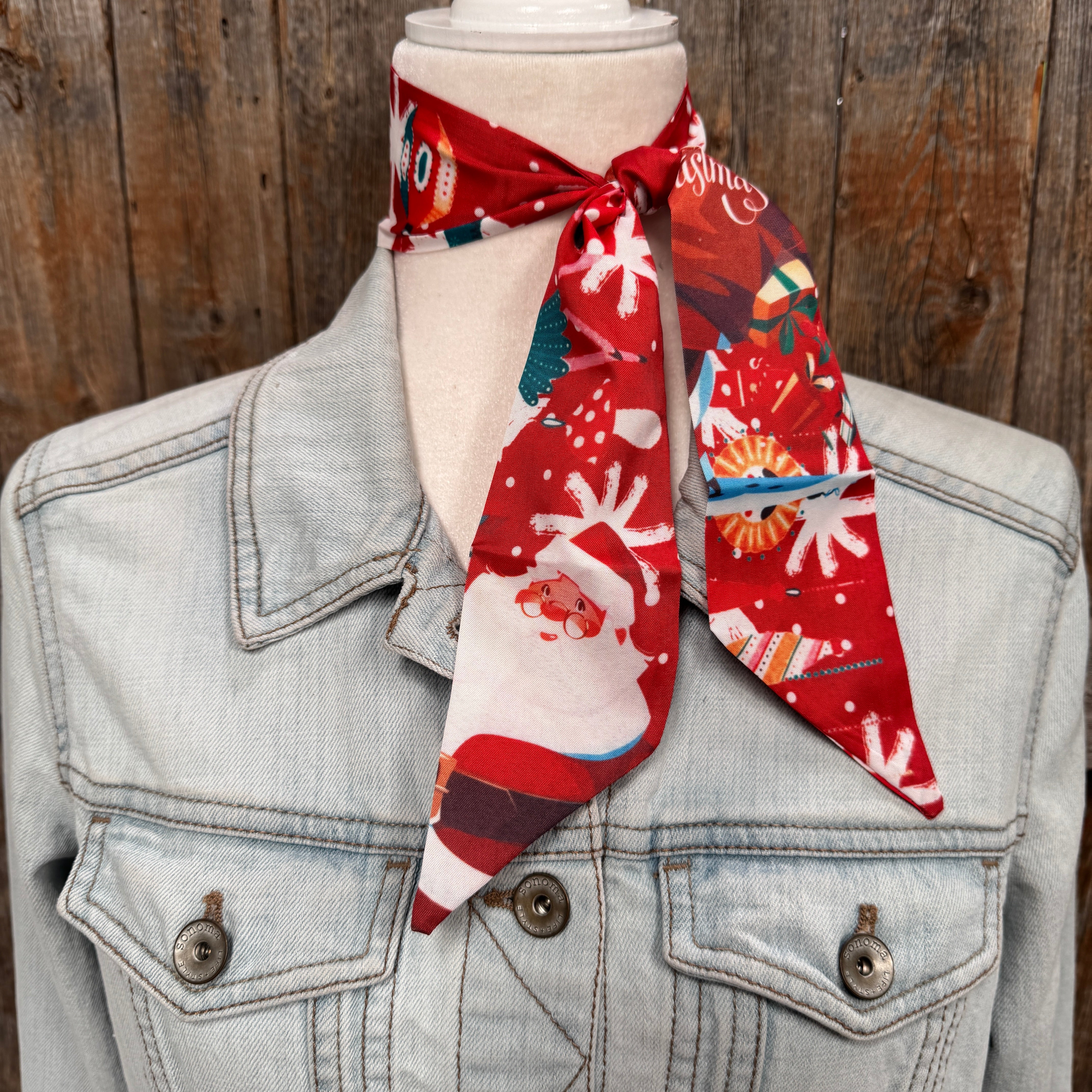 Red Holiday Western Skinny Mini Wild Rag Scarf / Cowgirl Necktie  #TW150