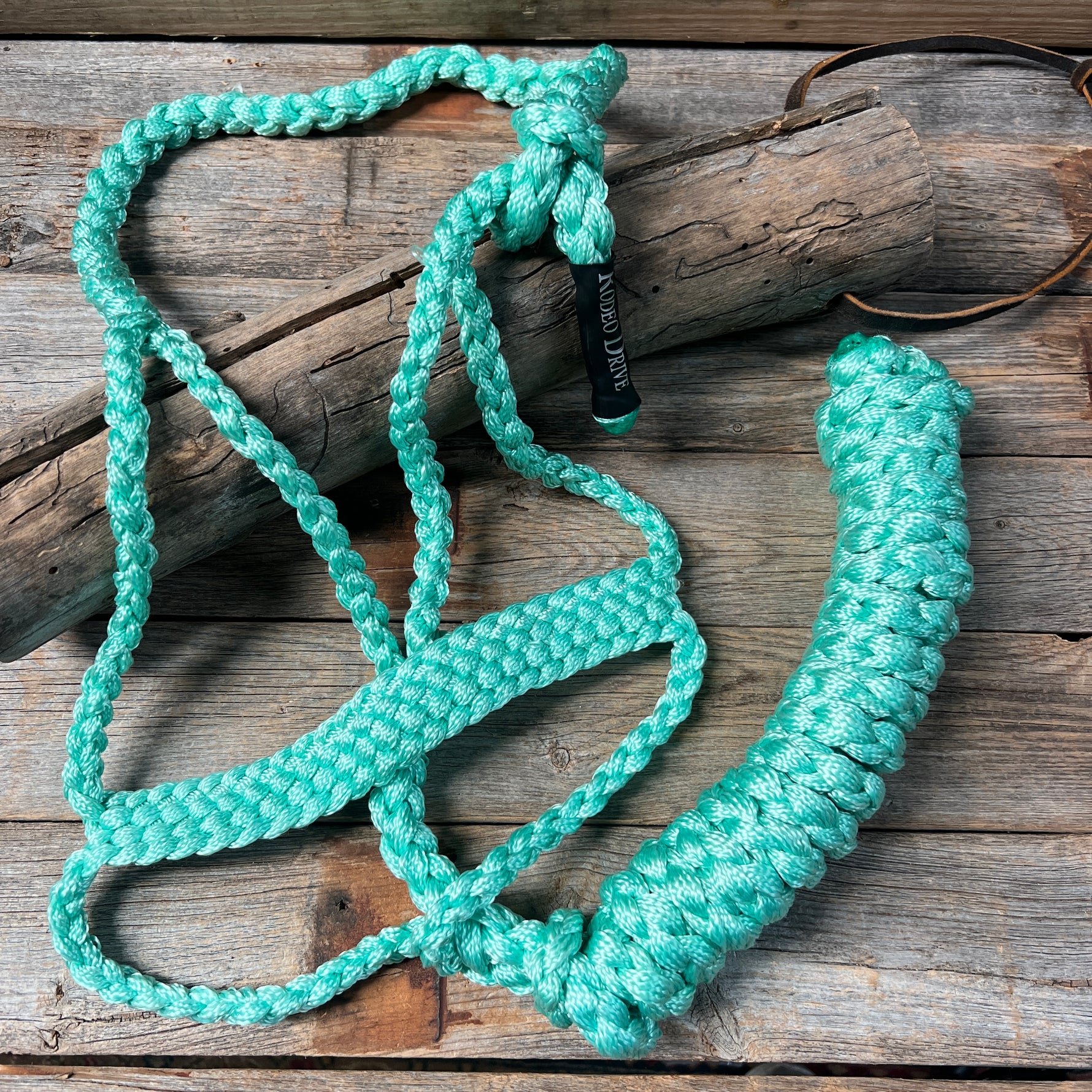Turquoise Mule Tape Halter