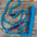 Rose - Blue Mule Tape Halter