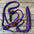 Rose - Purple Mule Tape Halter