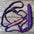 Rose - Purple Mule Tape Halter