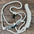 Rose - White Mule Tape Halter
