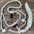 Rose - White Mule Tape Halter