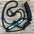 Black Mule Tape Rose Halter