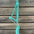 Lariat Mule Tape Halters - Assorted Colors-