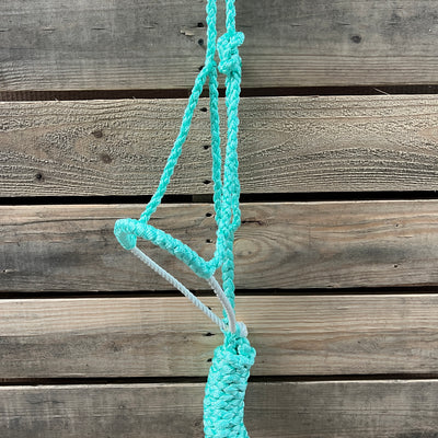 TURQUOISE/WHITE